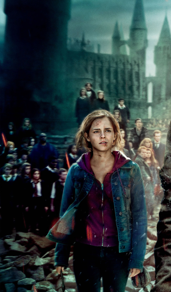 Baixar papel de parede para celular de Harry Potter, Filme, Harry Potter E As Relíquias Da Morte: Parte 2 gratuito.