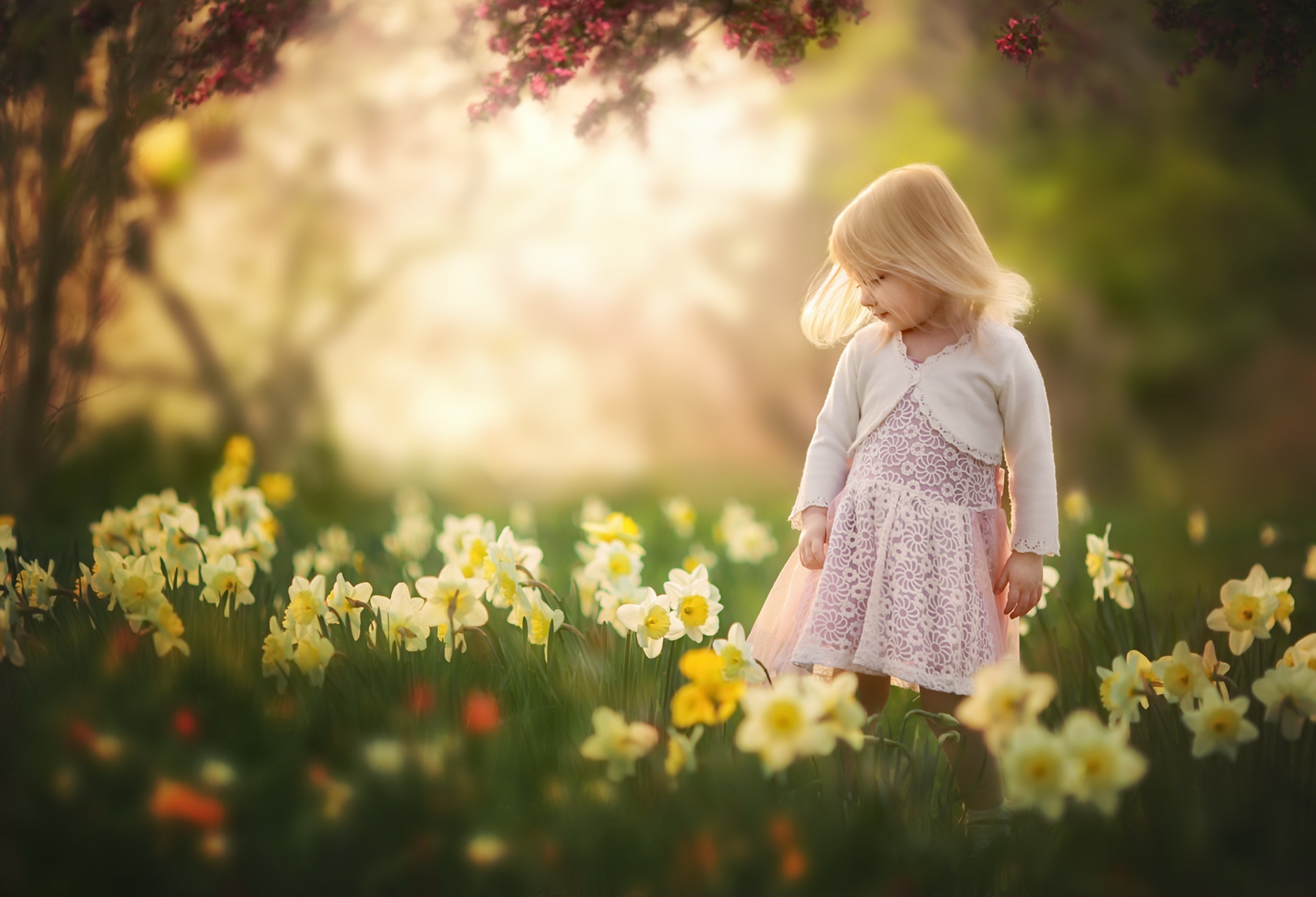 Free download wallpaper Summer, Flower, Child, Blonde, Photography, Little Girl, Daffodil, Depth Of Field on your PC desktop