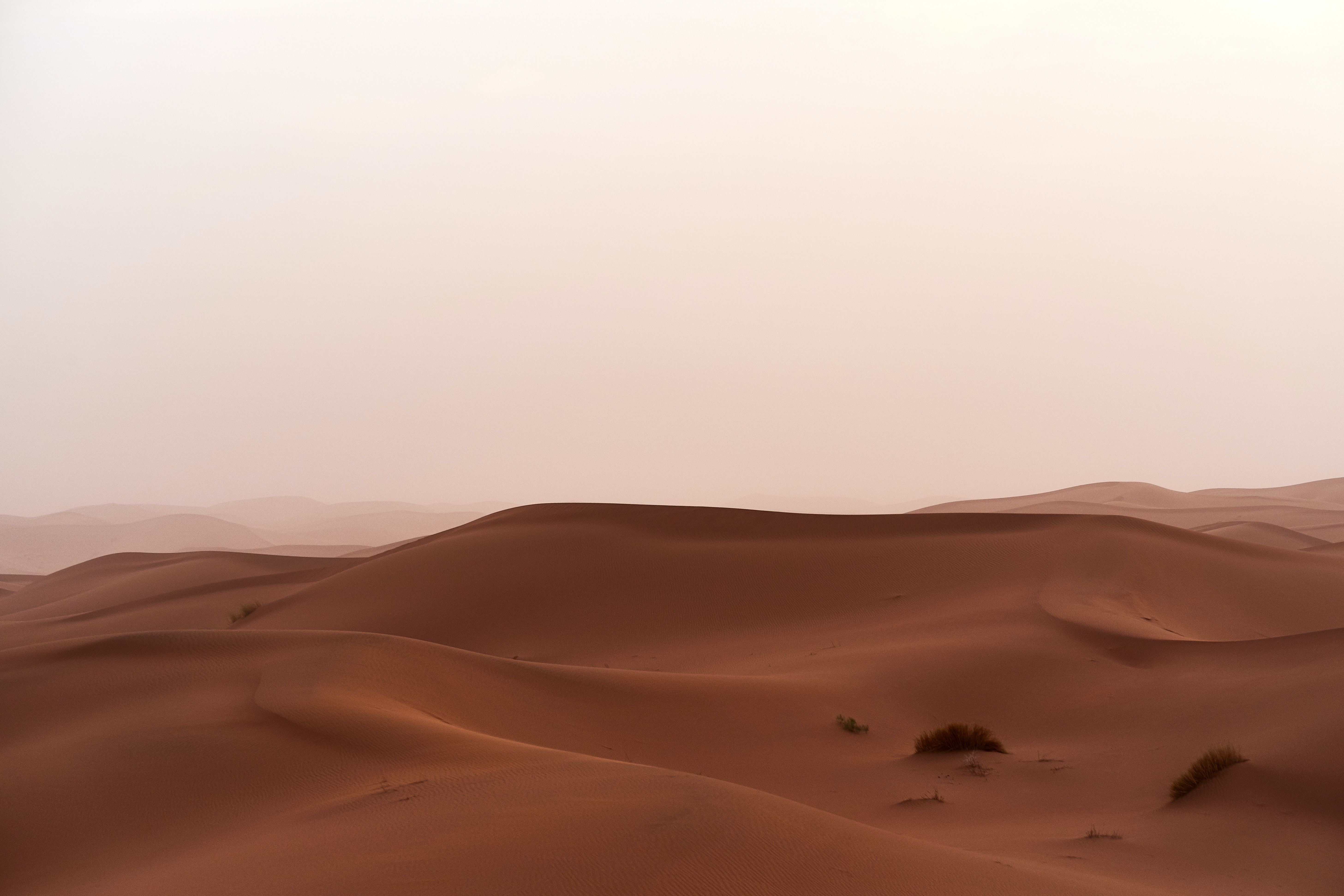 sand, dunes, grass, nature, desert, horizon Free Stock Photo