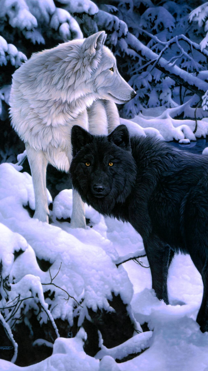 無料モバイル壁紙動物, オオカミ, 冬, 雪, 狼をダウンロードします。