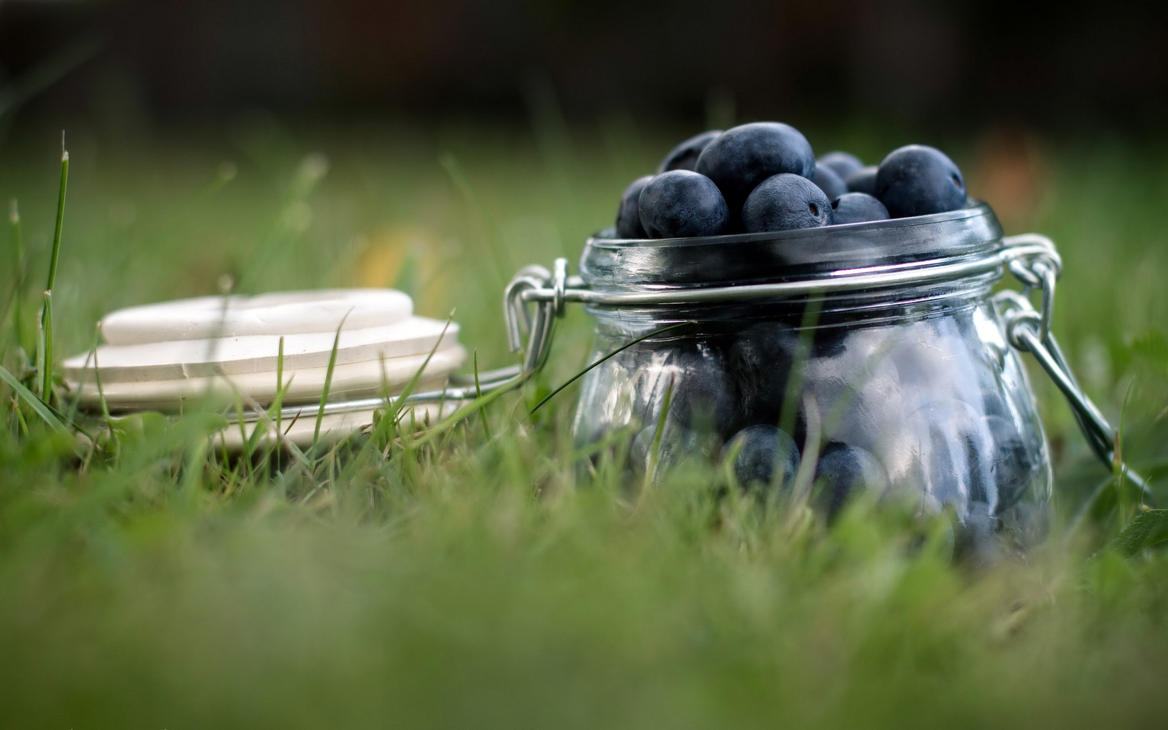 Free download wallpaper Food, Blueberry on your PC desktop