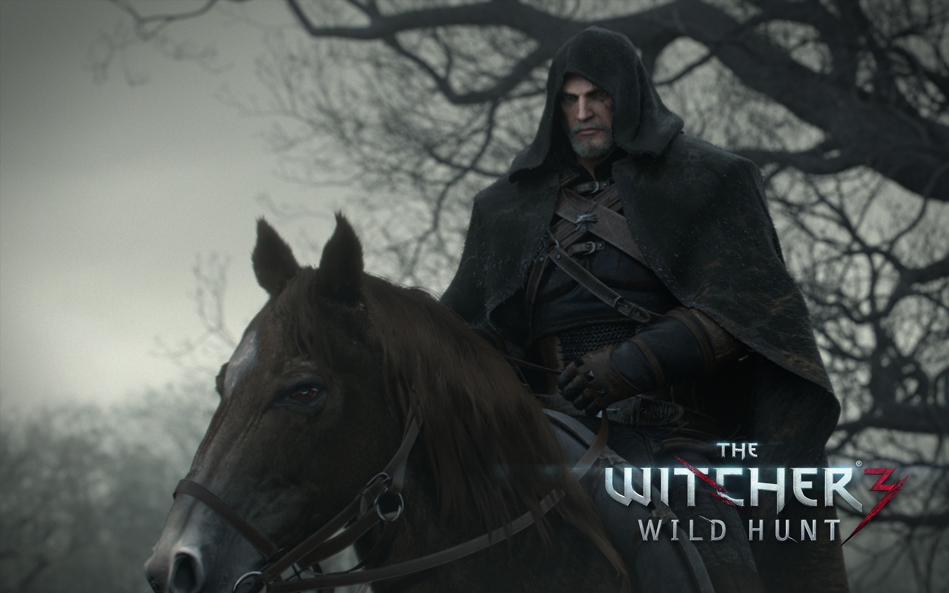 Download mobile wallpaper The Witcher 3: Wild Hunt, The Witcher, Video Game for free.