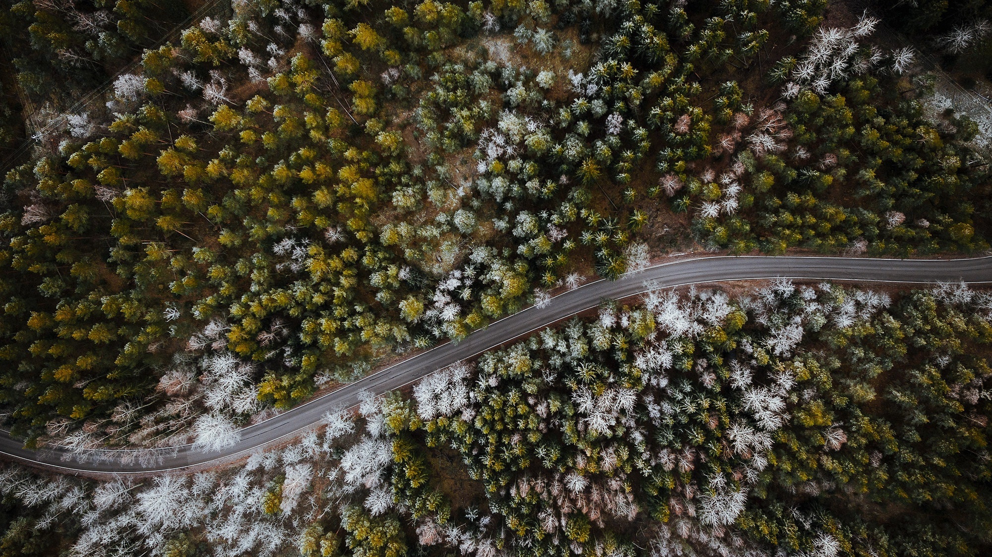 Free download wallpaper Nature, Road, Tree, Aerial, Man Made on your PC desktop