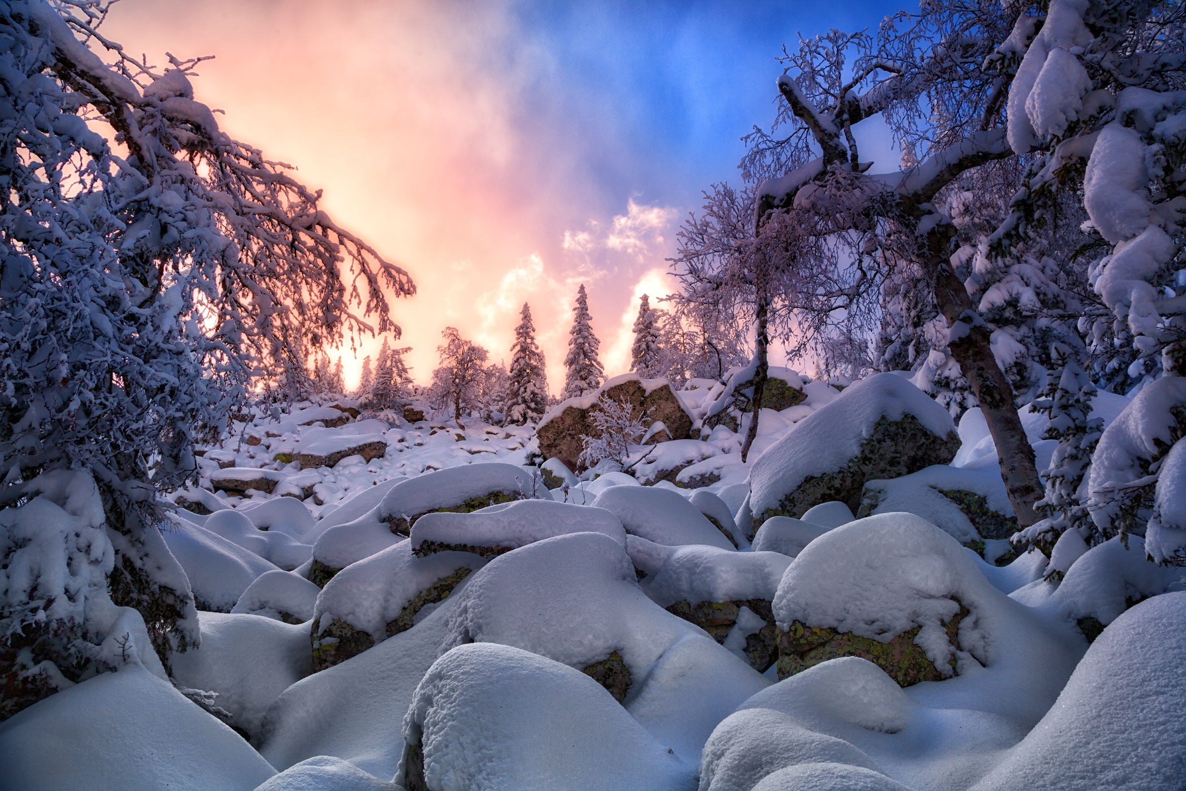 Baixe gratuitamente a imagem Inverno, Natureza, Neve, Terra/natureza na área de trabalho do seu PC
