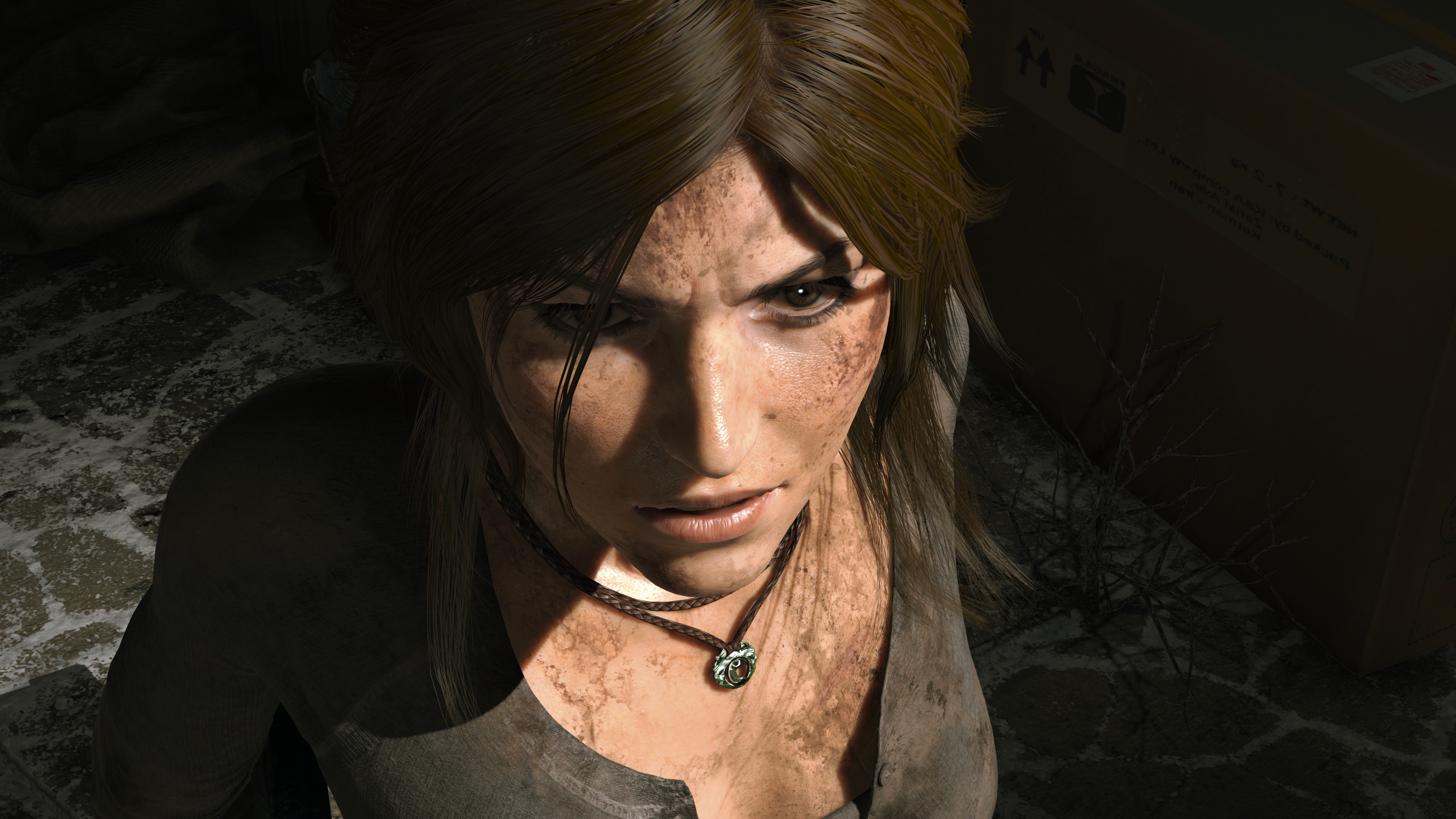 421459 Fonds d'écran et Rise Of The Tomb Raider images sur le bureau. Téléchargez les économiseurs d'écran  sur PC gratuitement