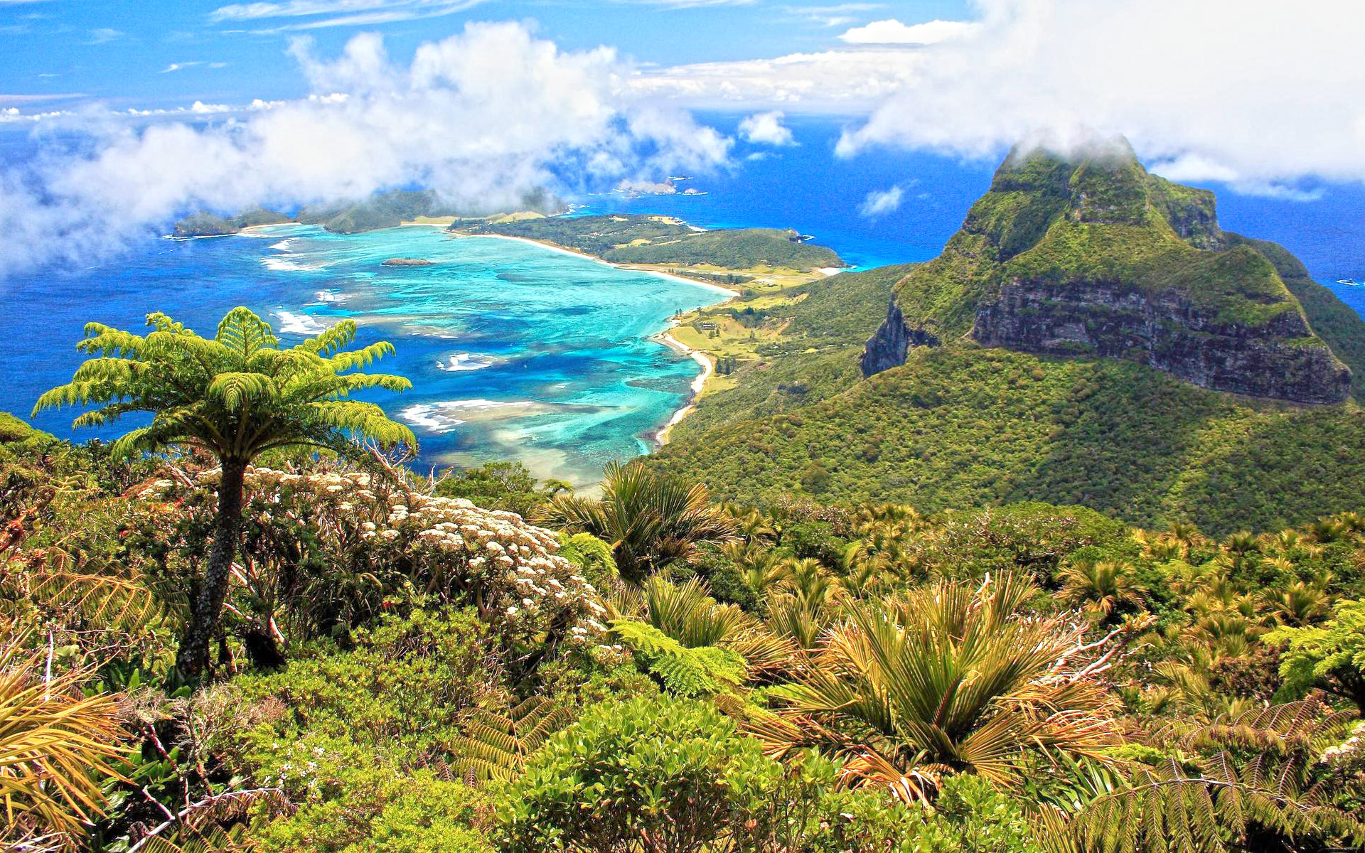 Descarga gratuita de fondo de pantalla para móvil de Costa, Tierra/naturaleza.