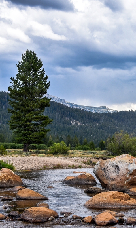 Handy-Wallpaper Landschaft, Natur, Berg, Fluss, Gebirge, Kalifornien, Nationalpark, Wolke, Yosemite Nationalpark, Vereinigte Staaten Von Amerika, Erde/natur kostenlos herunterladen.