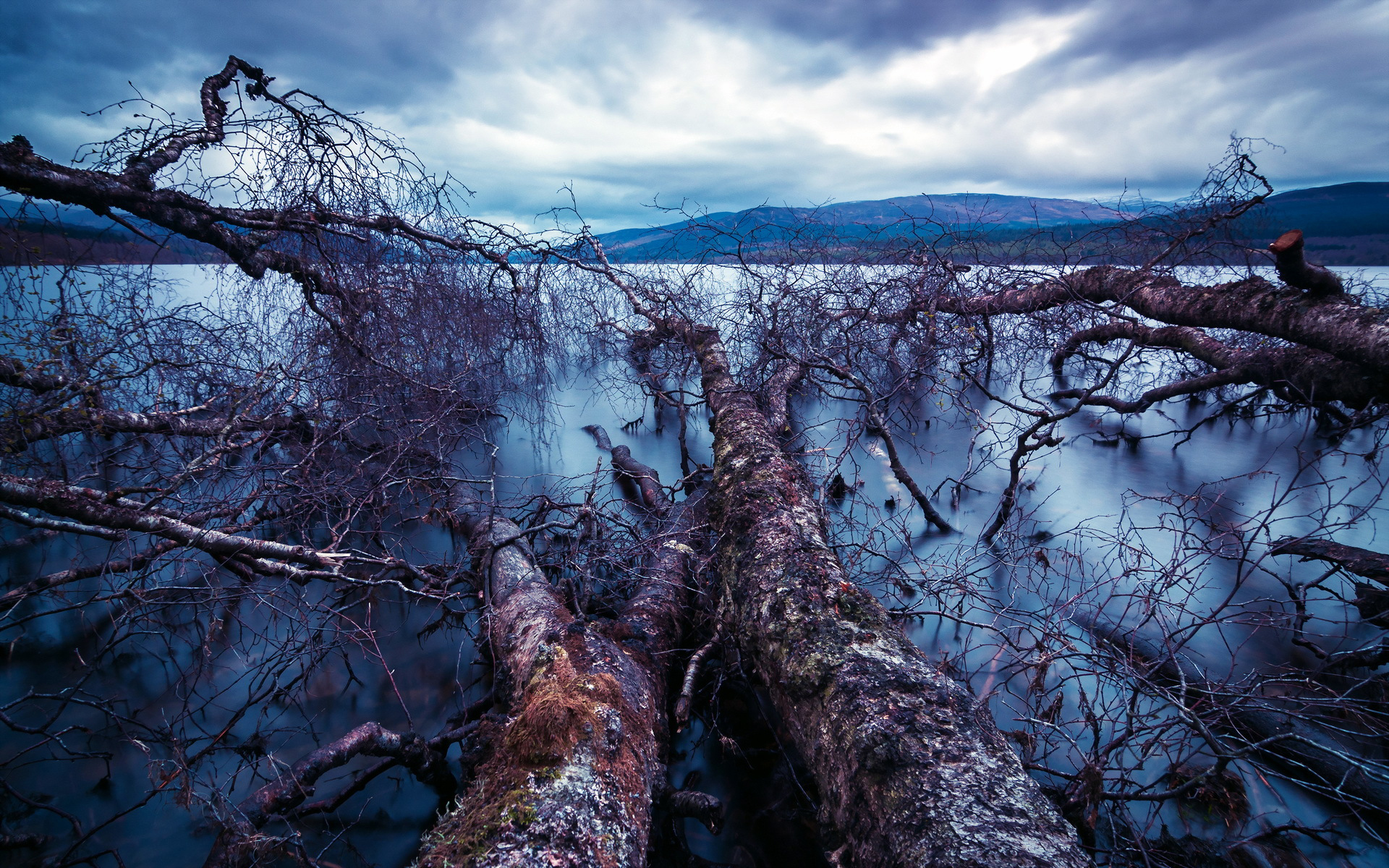 Laden Sie das Bäume, Baum, Erde/natur-Bild kostenlos auf Ihren PC-Desktop herunter