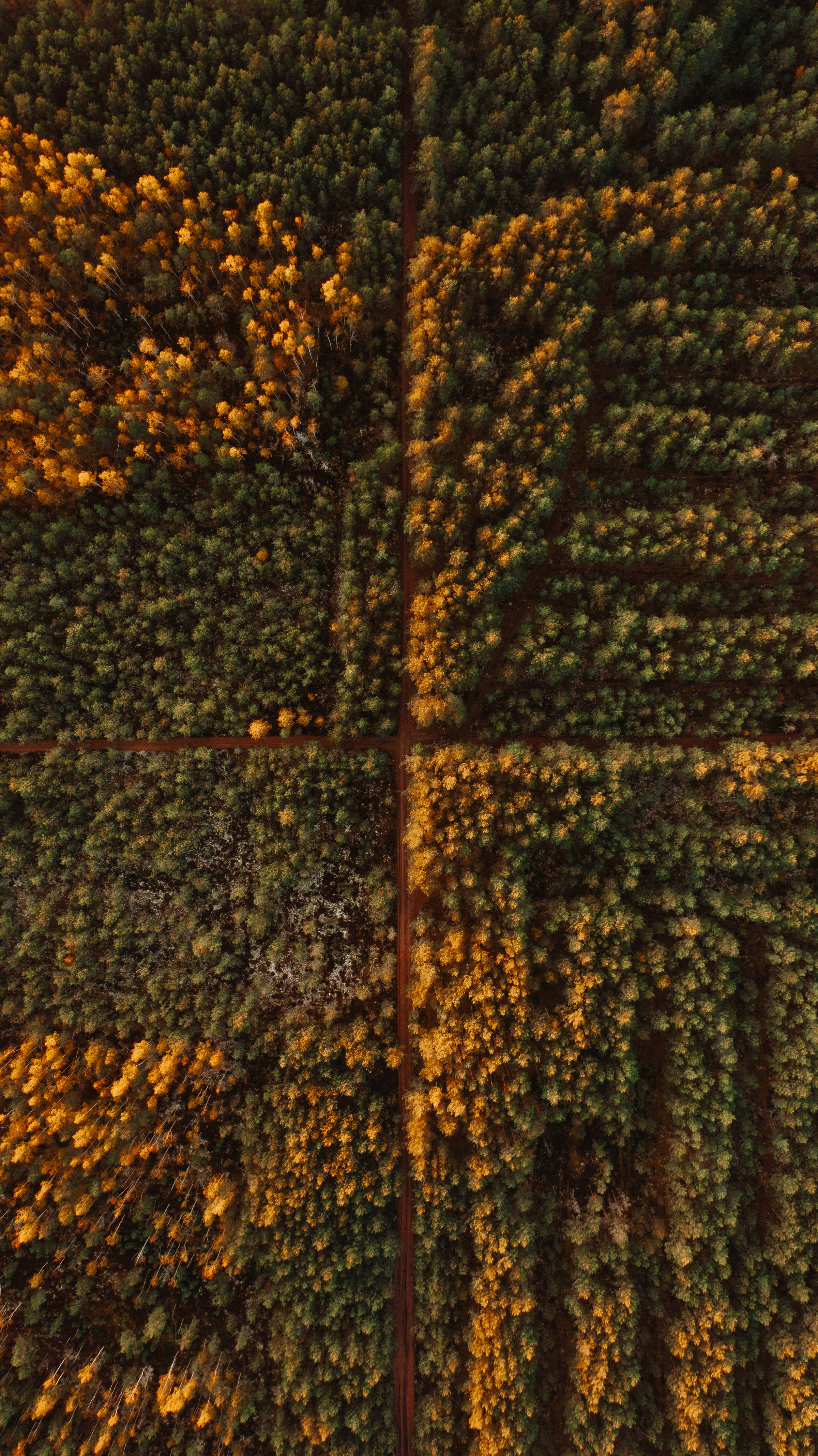 Free download wallpaper Nature, View From Above, Trees, Road, Forest, Autumn on your PC desktop