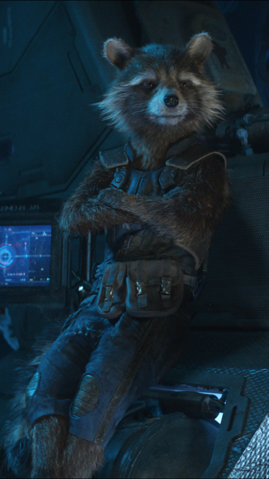 Download mobile wallpaper Movie, The Avengers, Rocket Raccoon, Avengers: Infinity War for free.