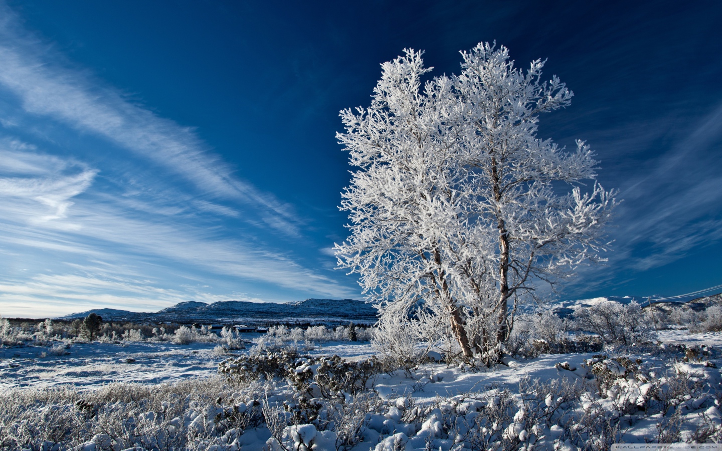 Free download wallpaper Winter, Earth on your PC desktop