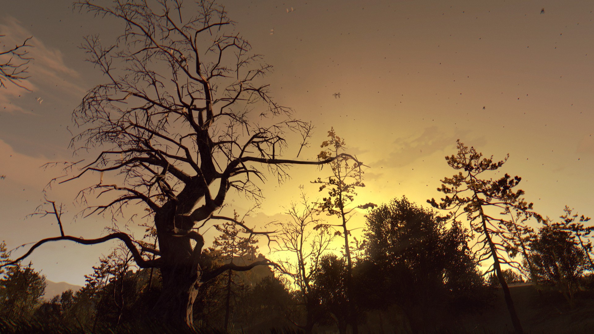Free download wallpaper Tree, Video Game, Dying Light on your PC desktop