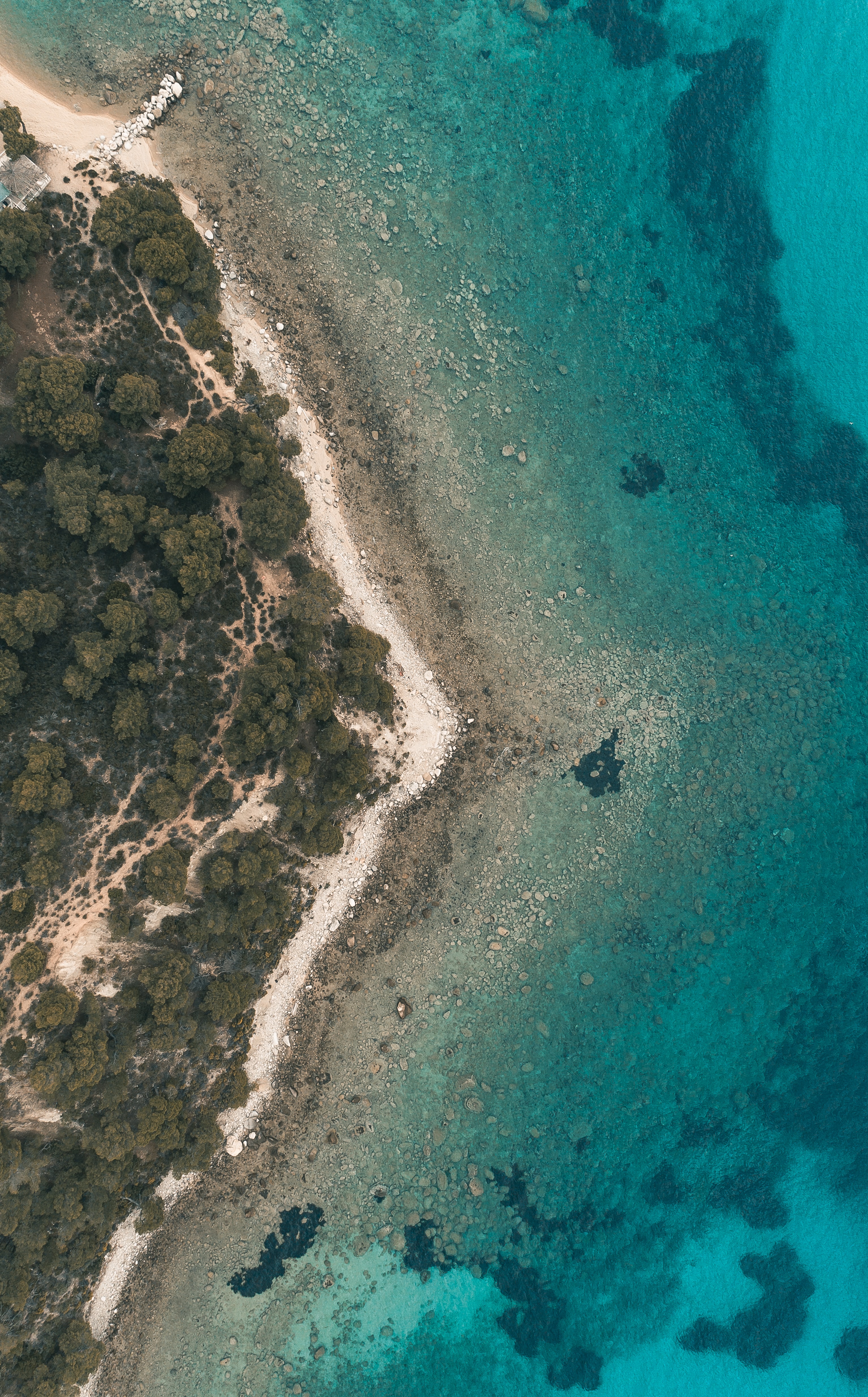 Laden Sie das Natur, Wasser, Blick Von Oben, Küste, Wald-Bild kostenlos auf Ihren PC-Desktop herunter