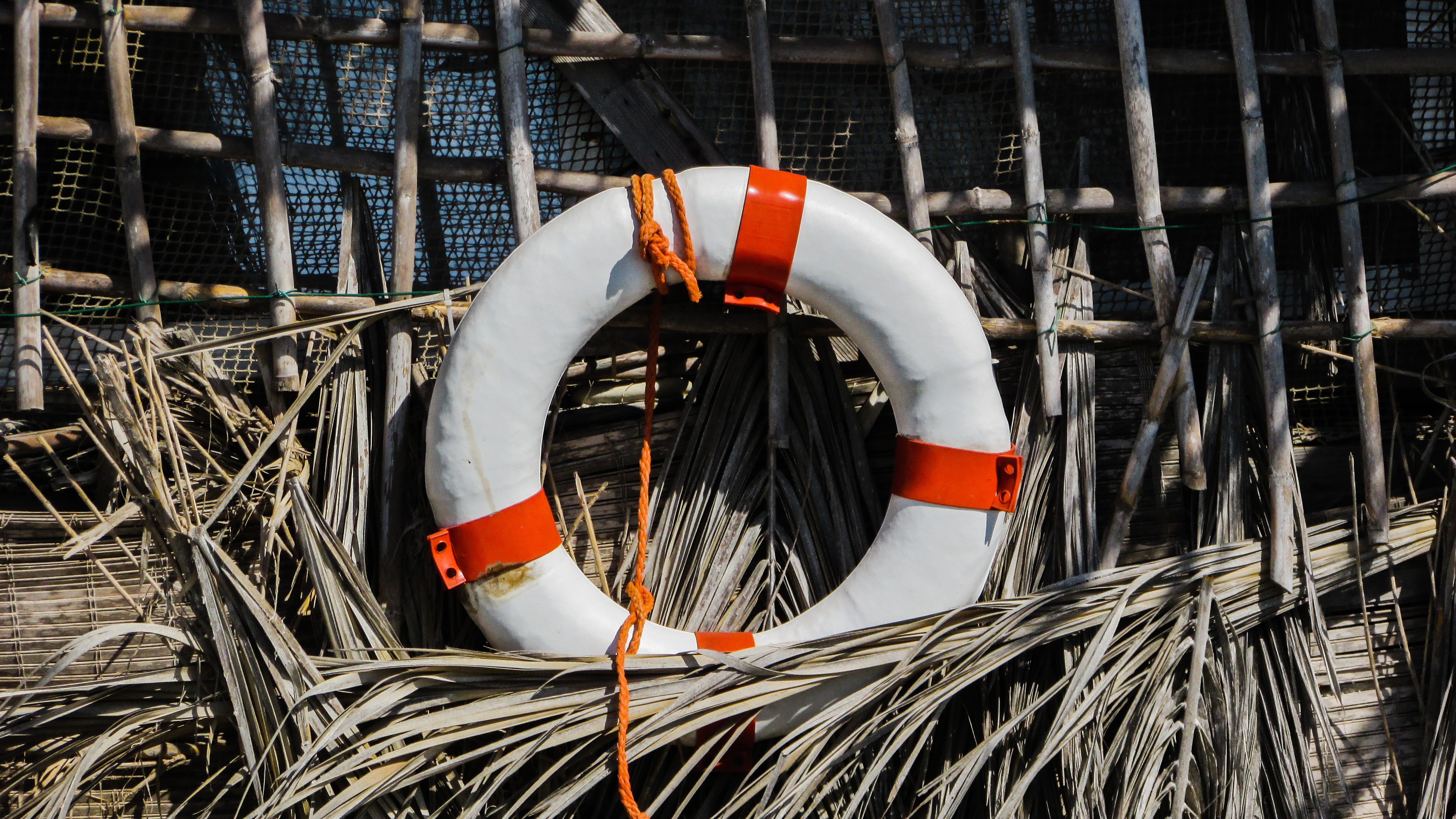 miscellanea, miscellaneous, reeds, equipment, lifebuoy, life buoy