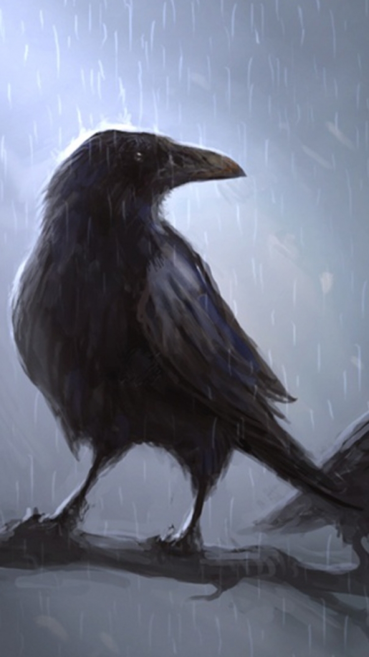 Download mobile wallpaper Bird, Animal, Raven, Crow for free.