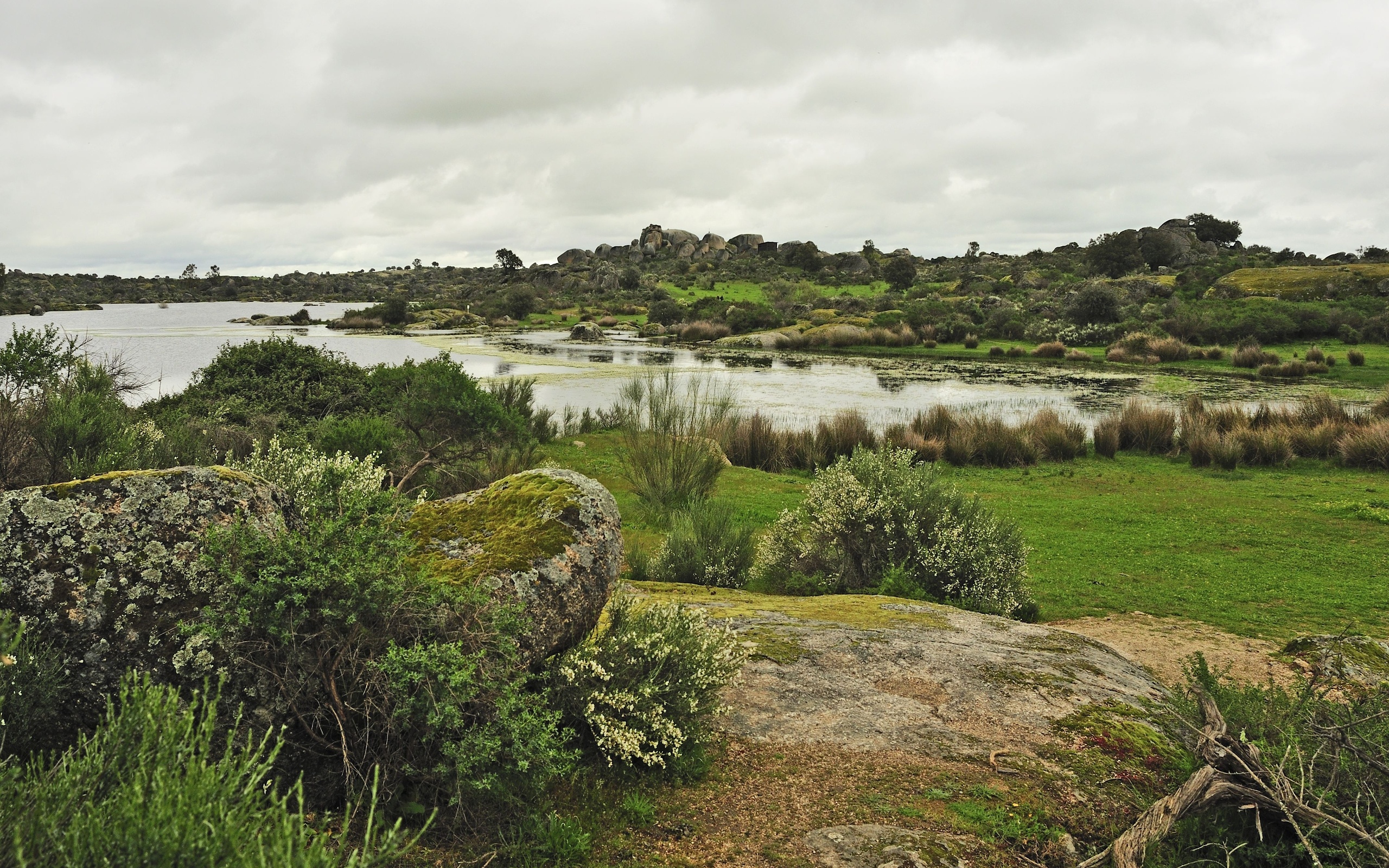 Descarga gratis la imagen Paisaje, Tierra/naturaleza en el escritorio de tu PC