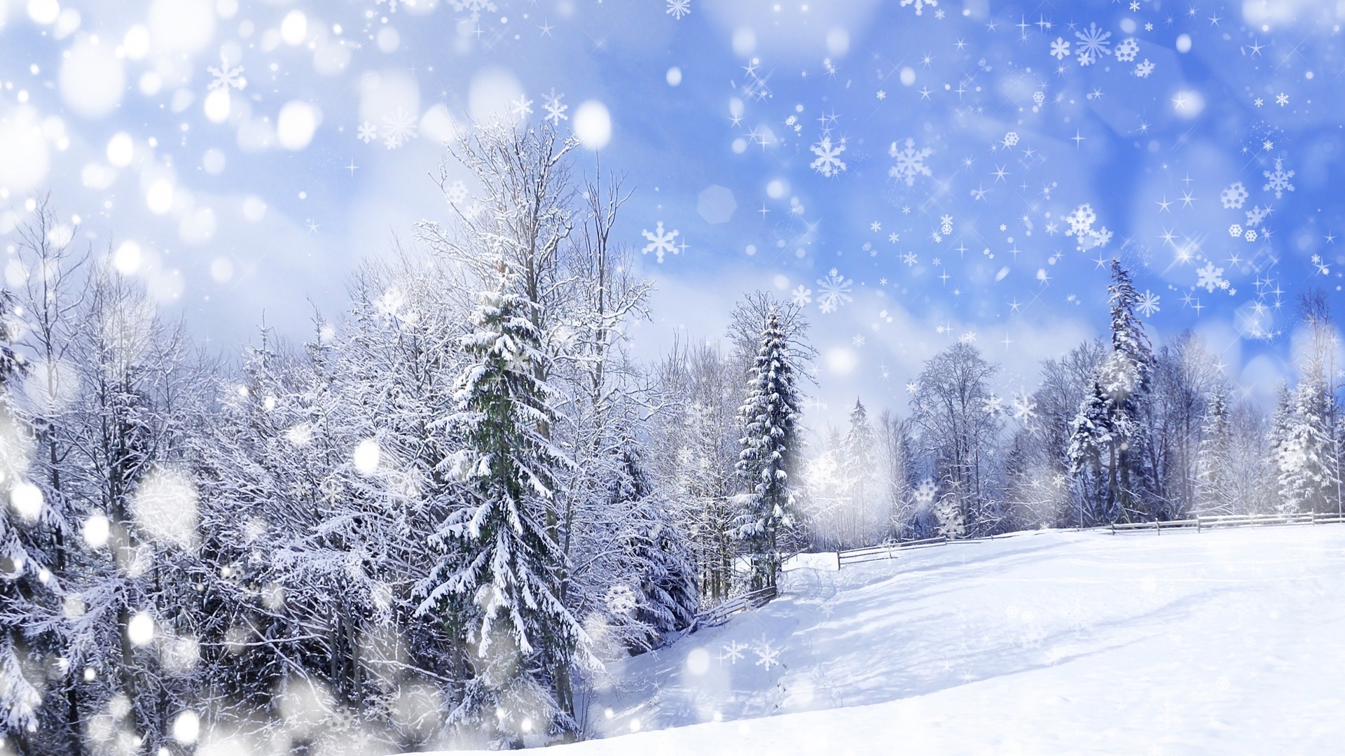 fir trees, landscape, winter, trees, snow, blue Full HD