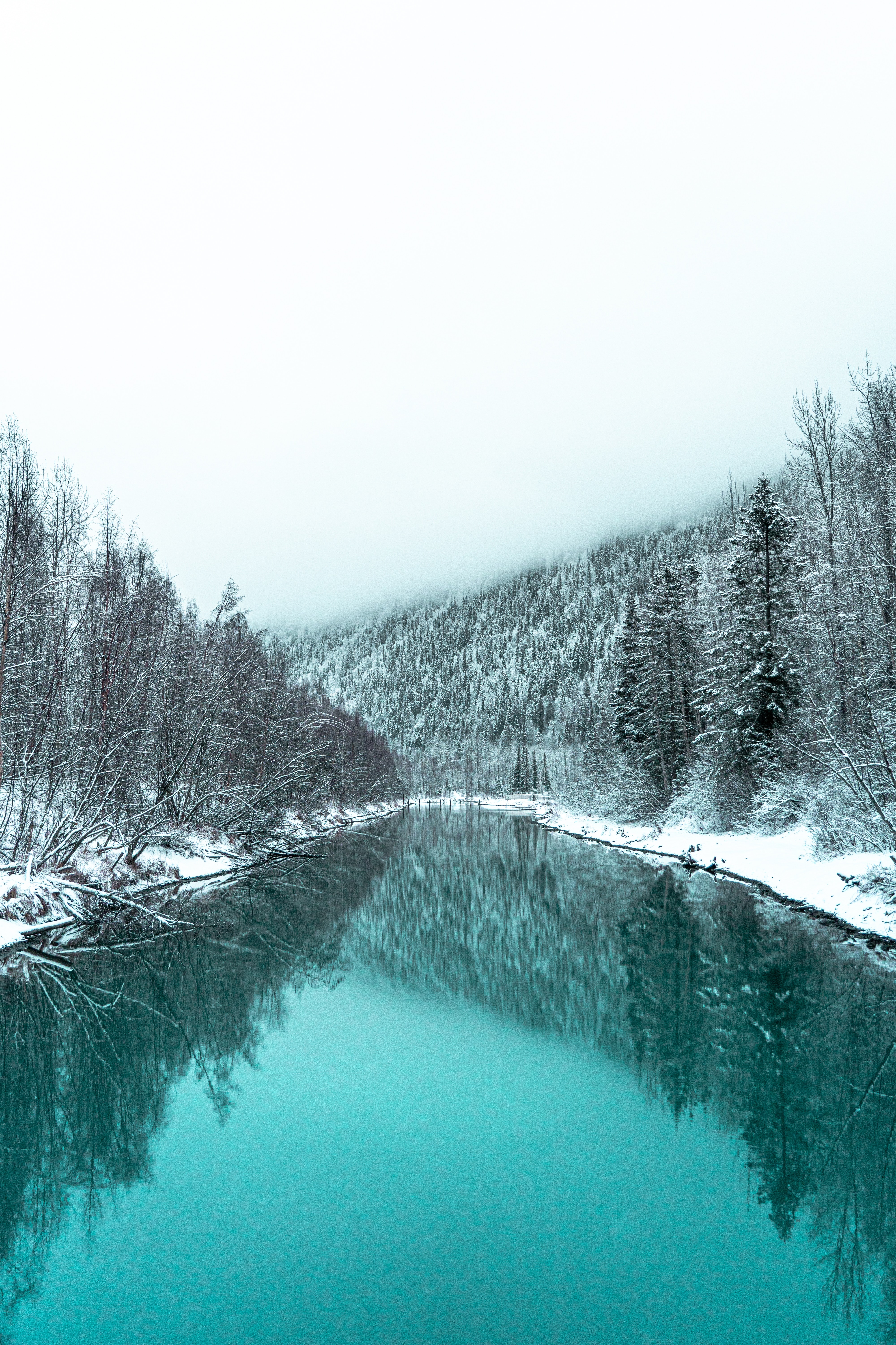 Скачать картинку Заснеженный, Река, Лес, Природа, Зима, Пейзаж в телефон бесплатно.