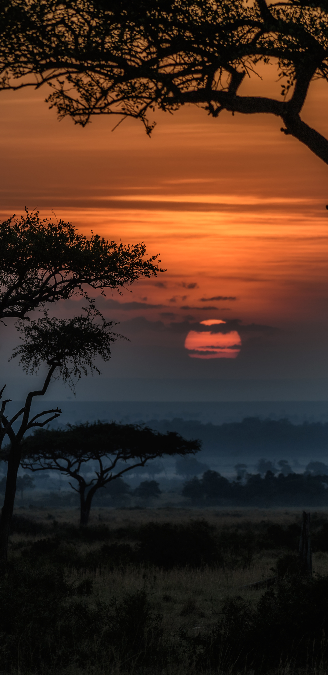 1311164壁紙のダウンロード地球, 日の出, ケニア, アフリカ, サバンナ, 風景, 夜明け-スクリーンセーバーと写真を無料で