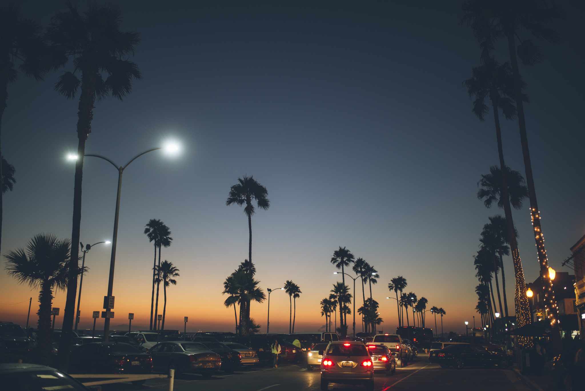 Download mobile wallpaper Roads, Cities, Palms, Landscape, Night for free.