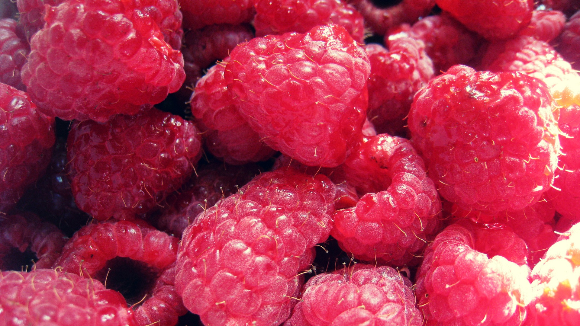 Download mobile wallpaper Fruits, Food, Raspberry for free.