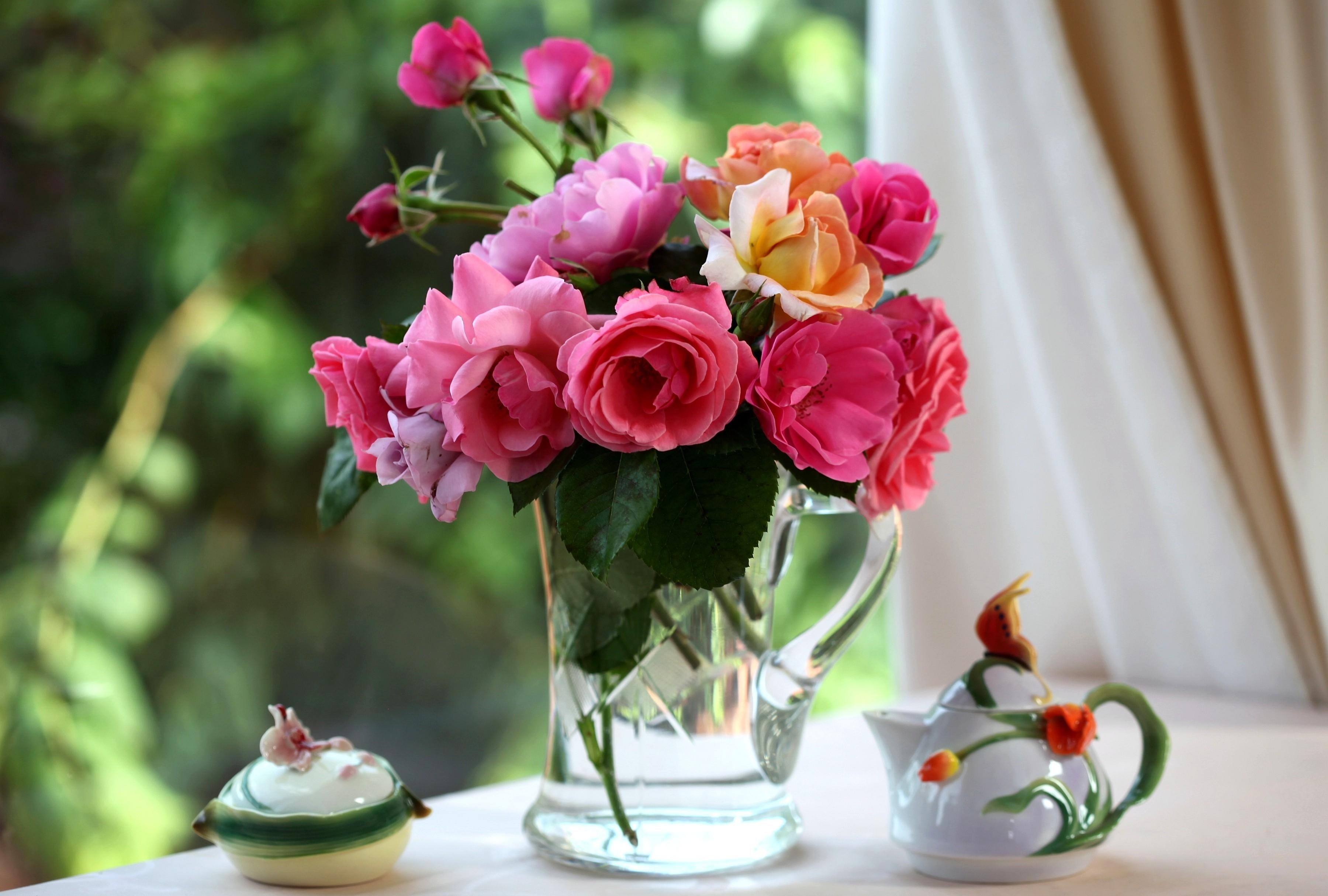 129549 descargar imagen flores, roses, taza, jarro, mesa, jardín: fondos de pantalla y protectores de pantalla gratis
