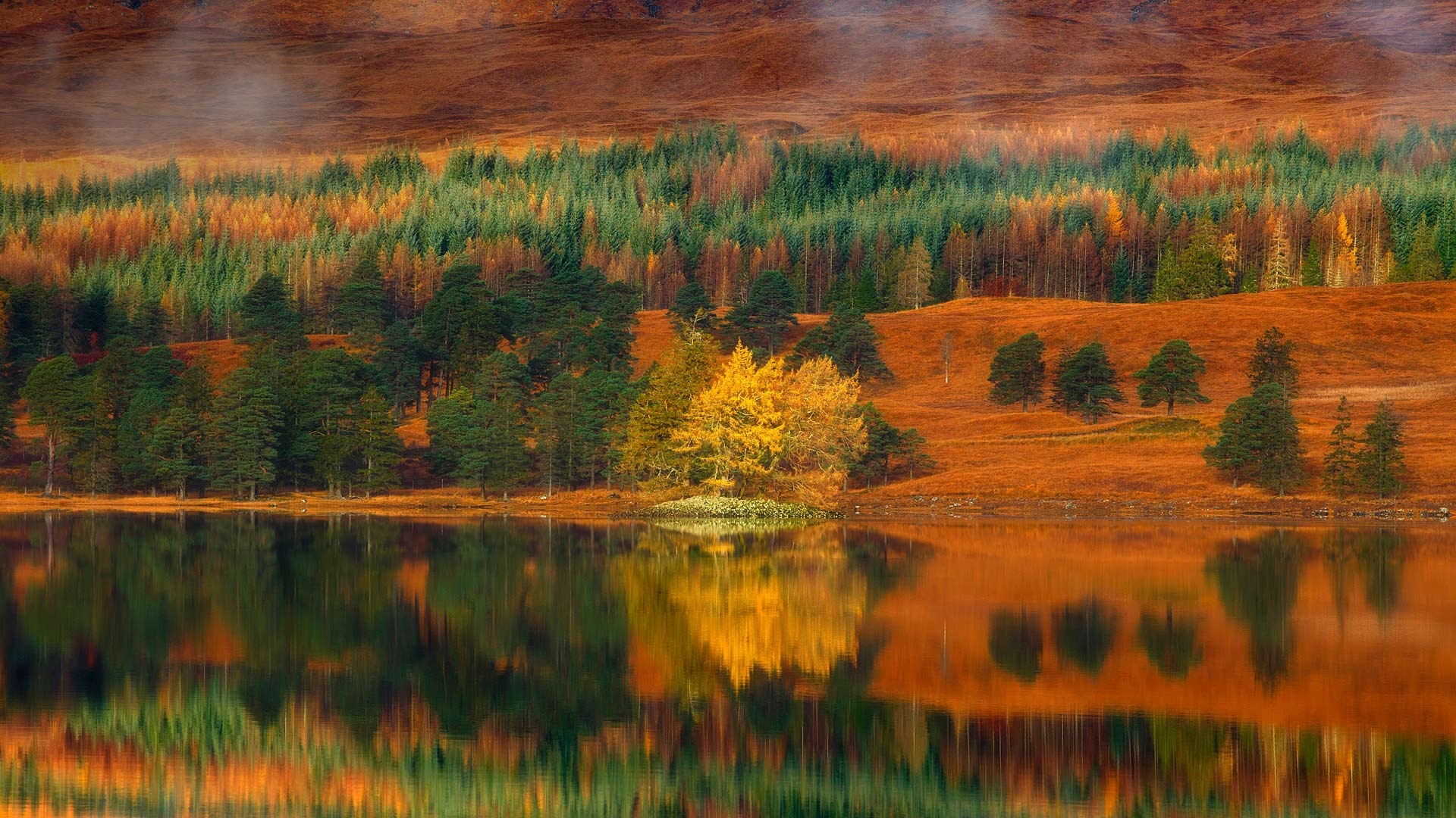 Téléchargez gratuitement l'image Automne, Lac, Forêt, La Nature, Terre/nature, Réflection sur le bureau de votre PC