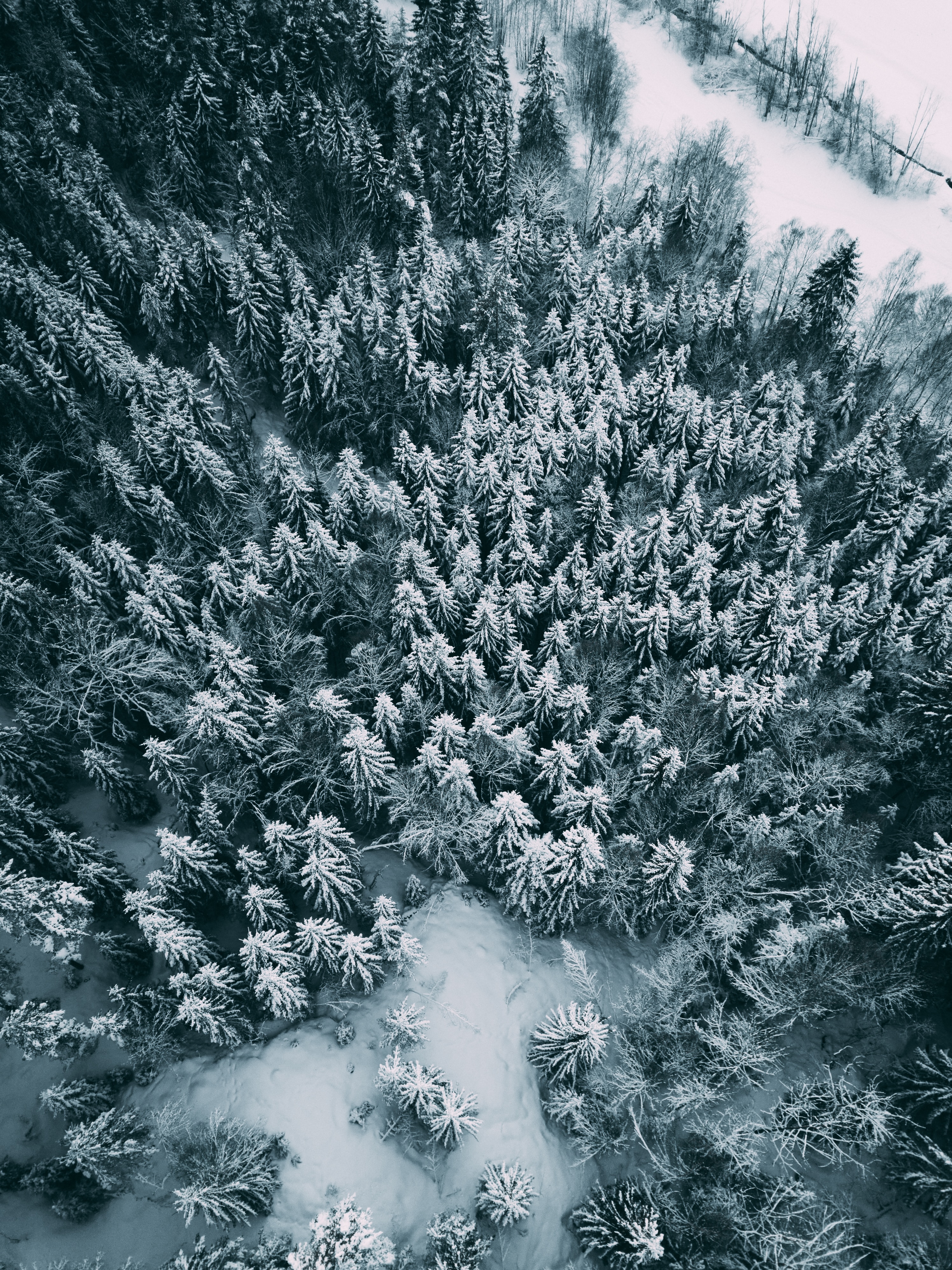 Download mobile wallpaper View From Above, Forest, Winter, Nature, Snow for free.