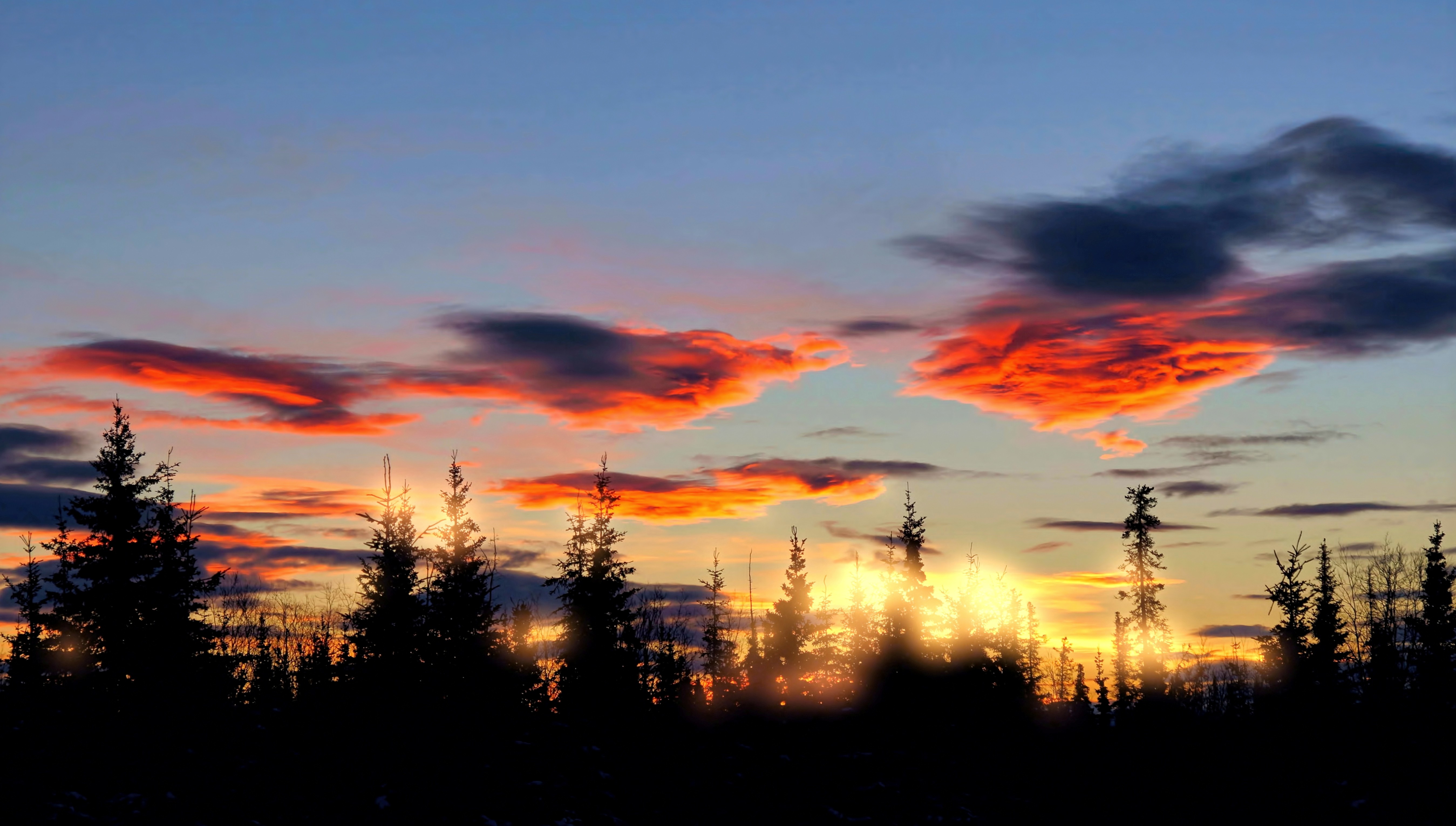 Descarga gratis la imagen Naturaleza, Cielo, Amanecer, Bosque, Nube, Tierra/naturaleza en el escritorio de tu PC