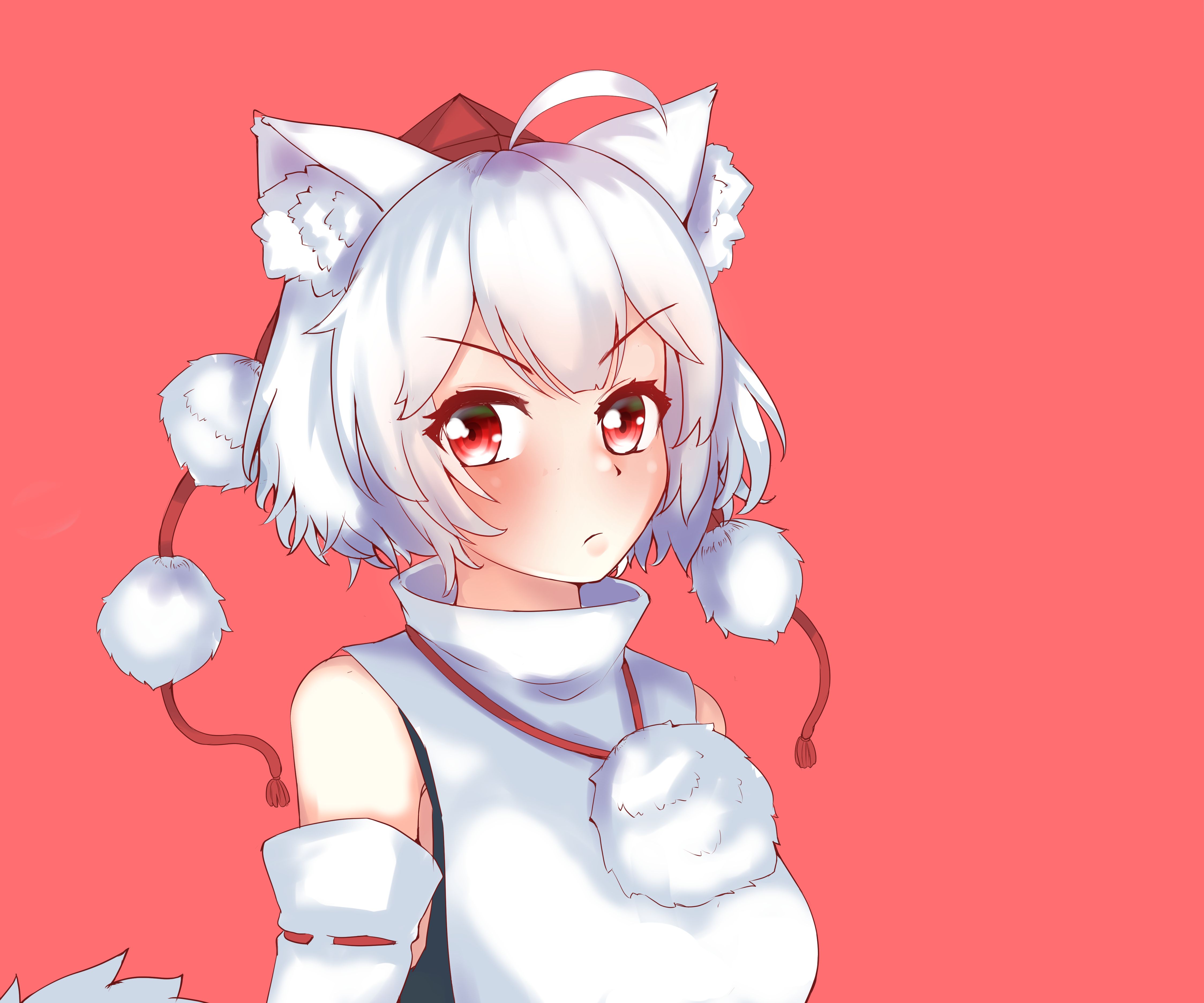 Handy-Wallpaper Animes, Tuhu, Weißes Haar, Momiji Inubashiri kostenlos herunterladen.