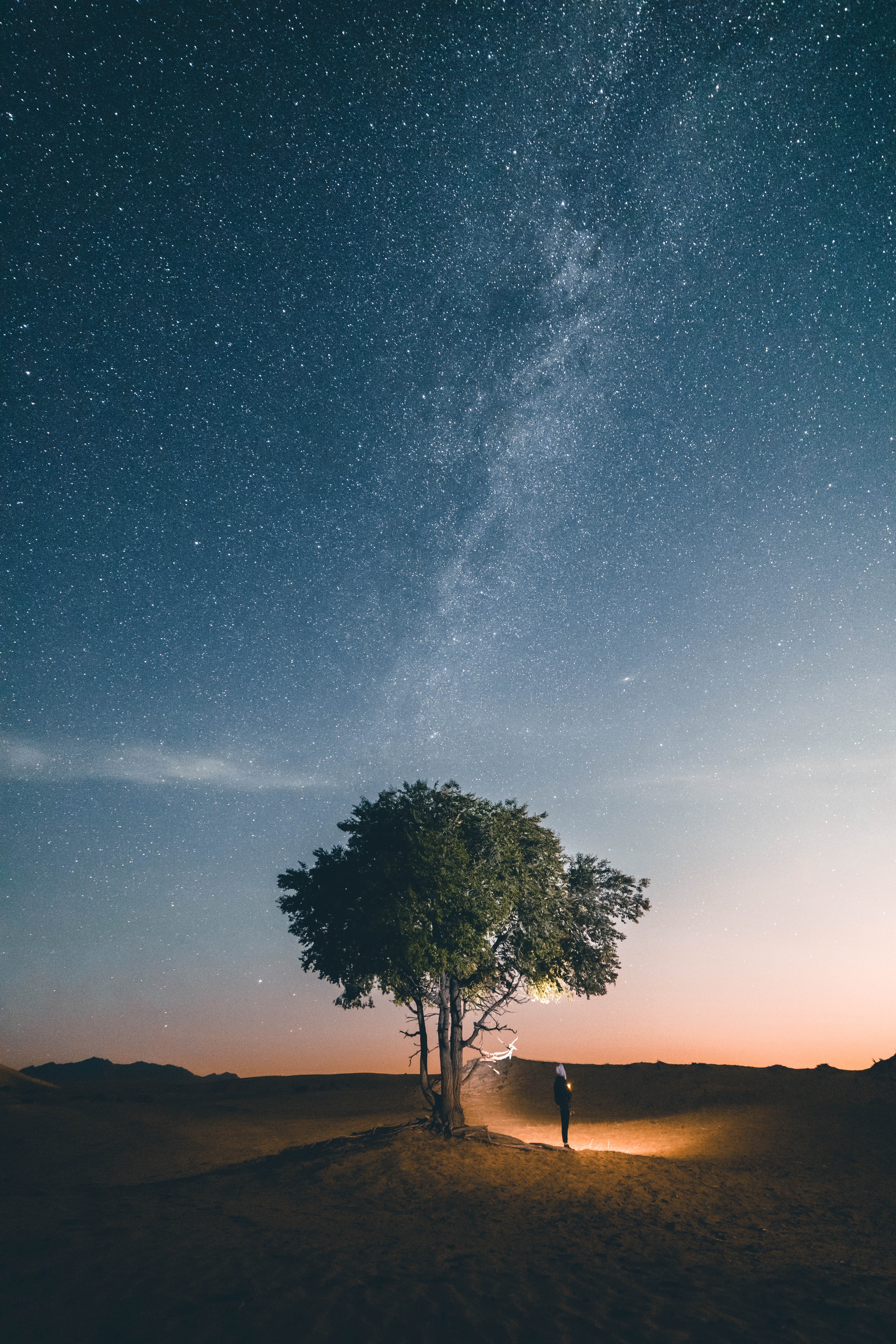 Free download wallpaper Night, Shine, Light, Wood, Tree, Starry Sky, Nature, Silhouette on your PC desktop