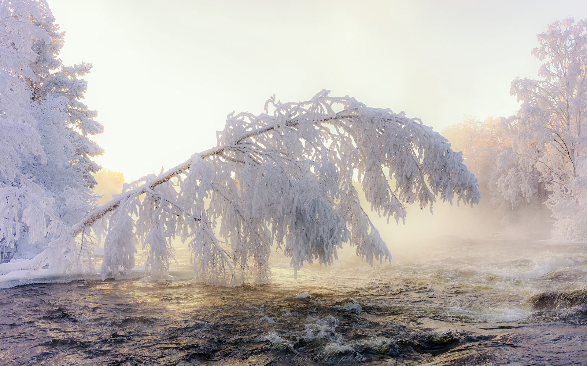 Descarga gratis la imagen Invierno, Naturaleza, Rio, Árbol, Escarcha, Tierra/naturaleza en el escritorio de tu PC