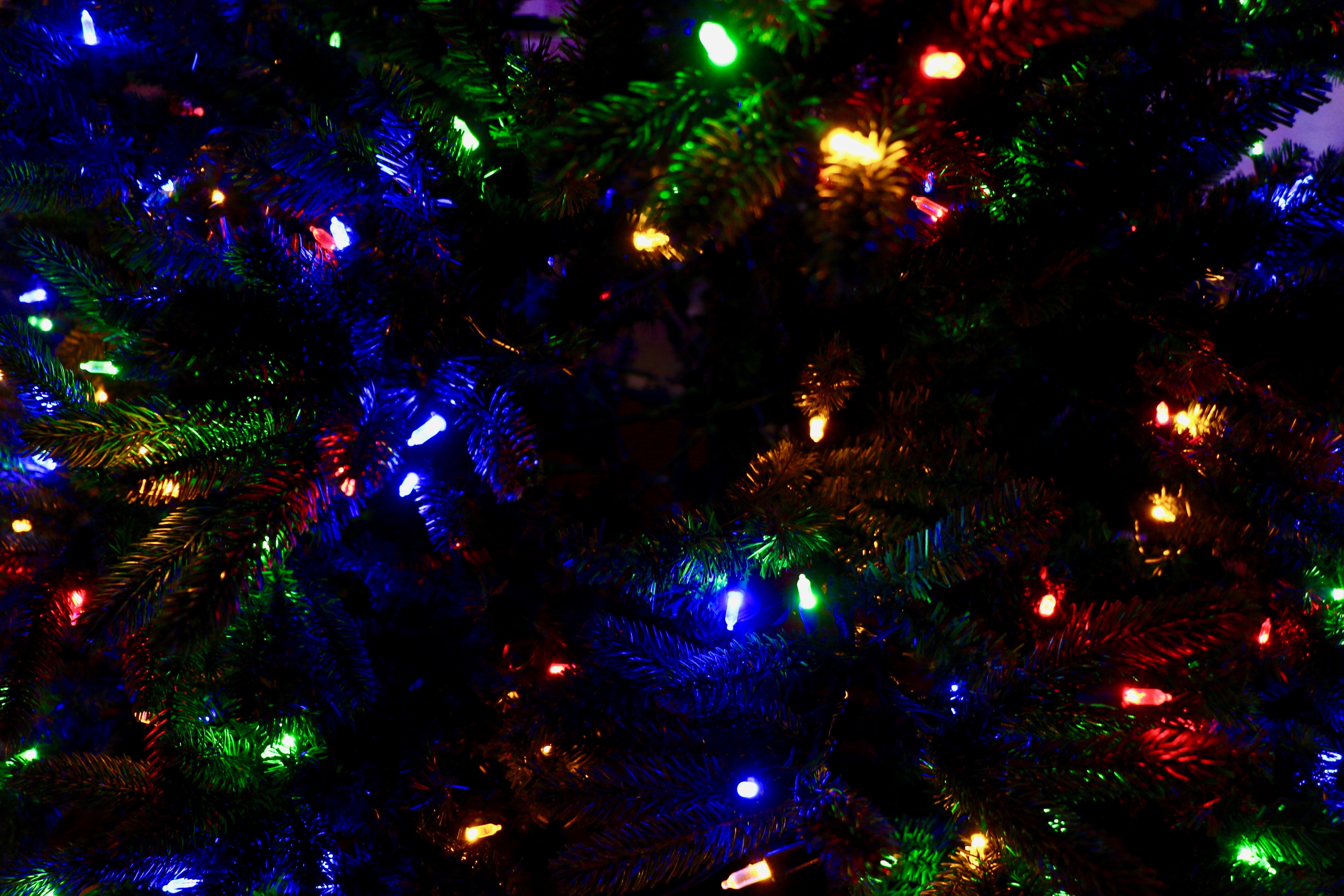 82497 скачать картинку новый год, елка, гирлянды, праздники, декорация, рождество, разноцветный - обои и заставки бесплатно