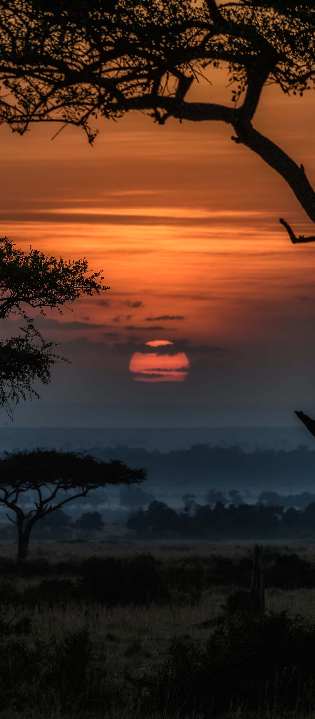 Скачати мобільні шпалери Пейзаж, Саванна, Світанок, Земля, Африка, Схід Сонця, Кенія безкоштовно.