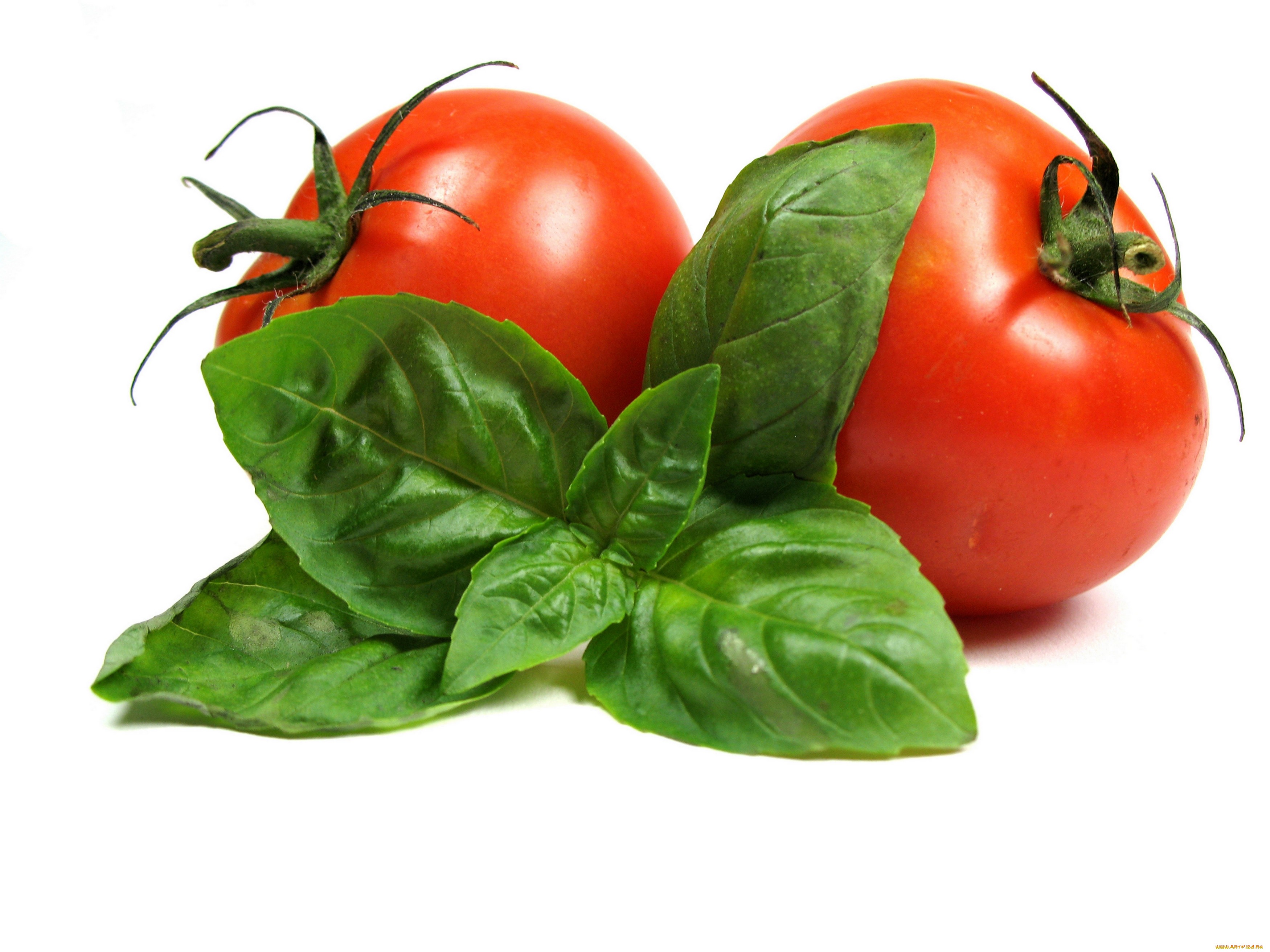 289360 Bild herunterladen nahrungsmittel, tomate, früchte - Hintergrundbilder und Bildschirmschoner kostenlos