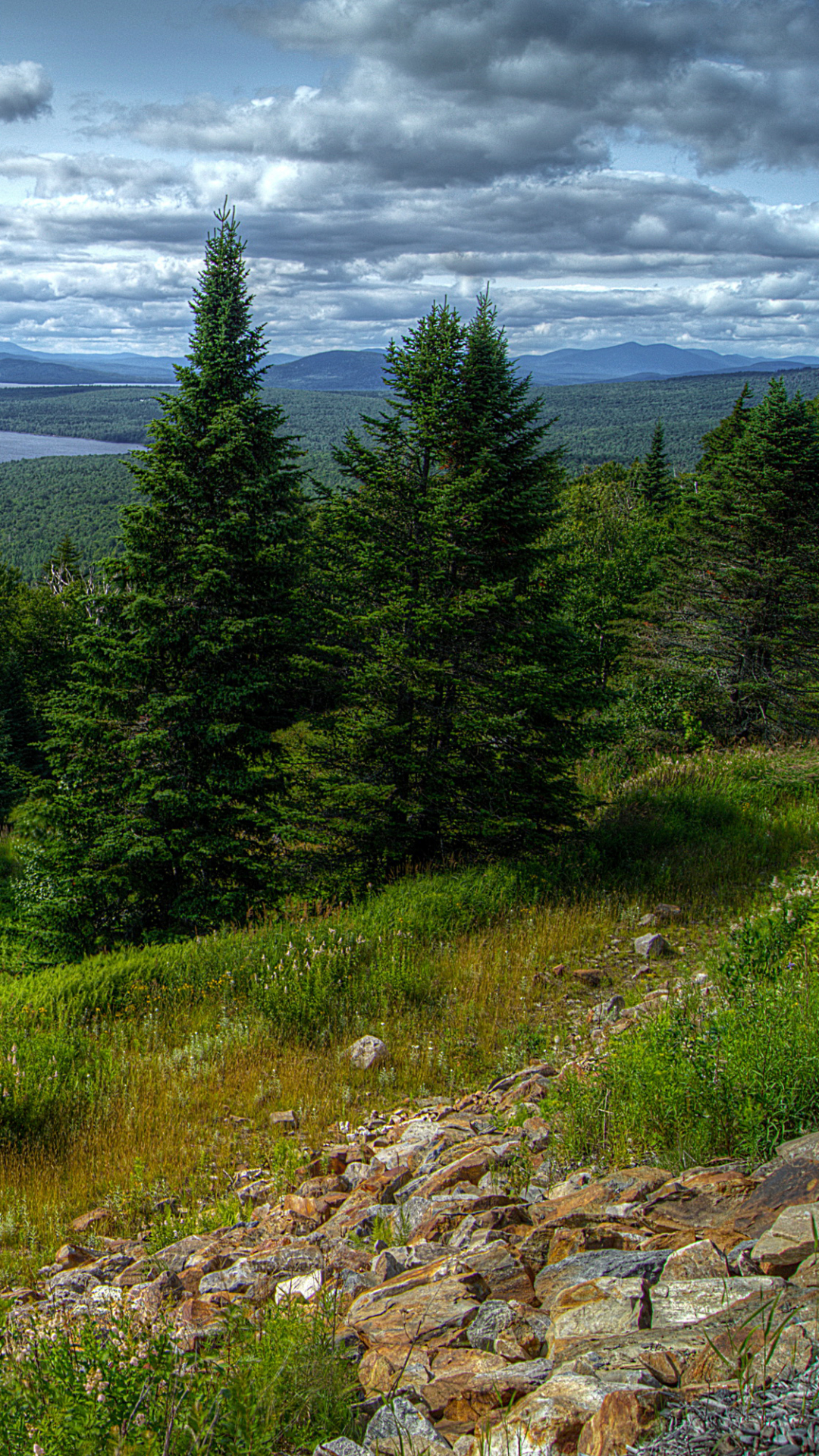 Descarga gratuita de fondo de pantalla para móvil de Paisaje, Lago, Árbol, Tierra/naturaleza.