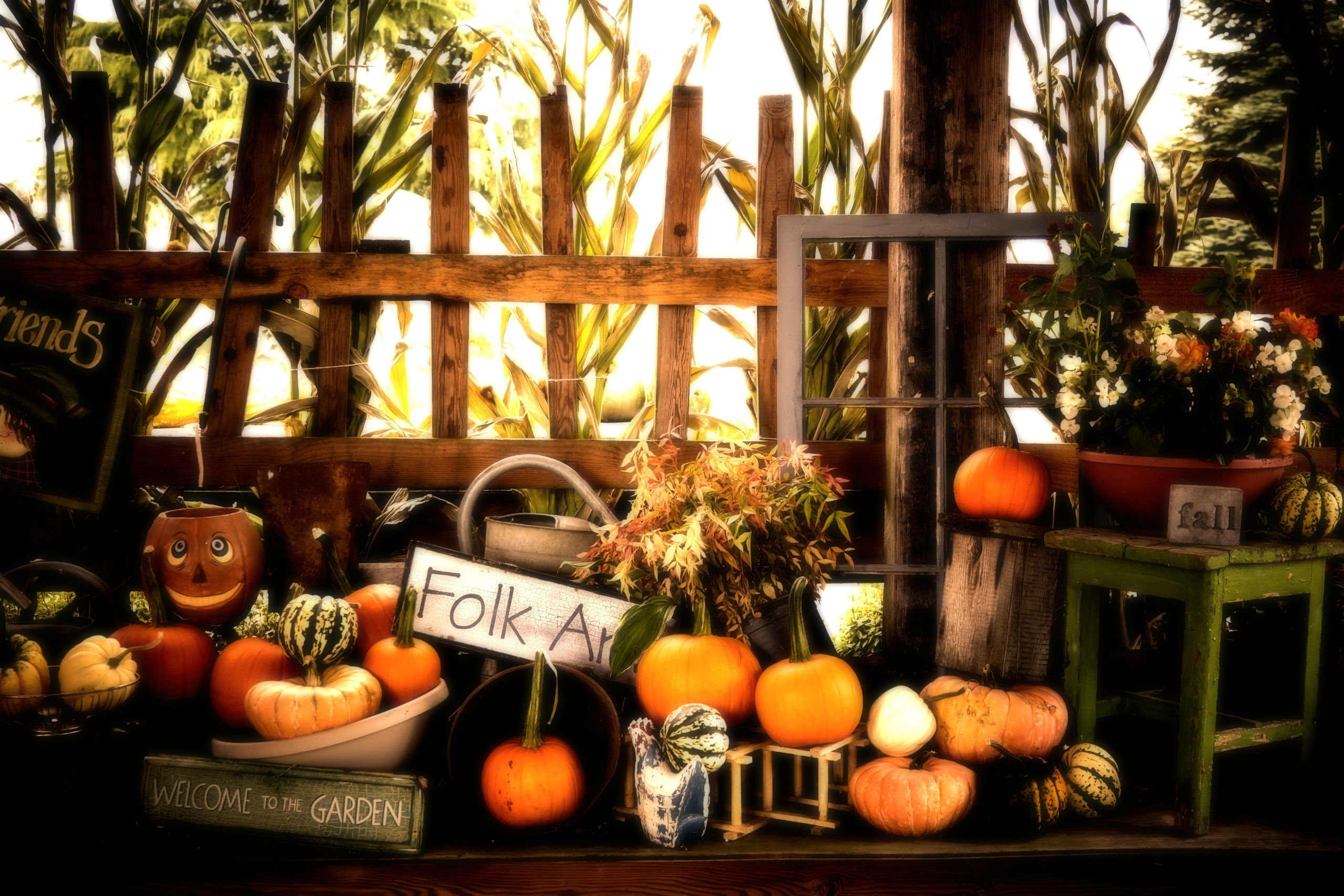 holiday, halloween, fall, pumpkin, thanksgiving