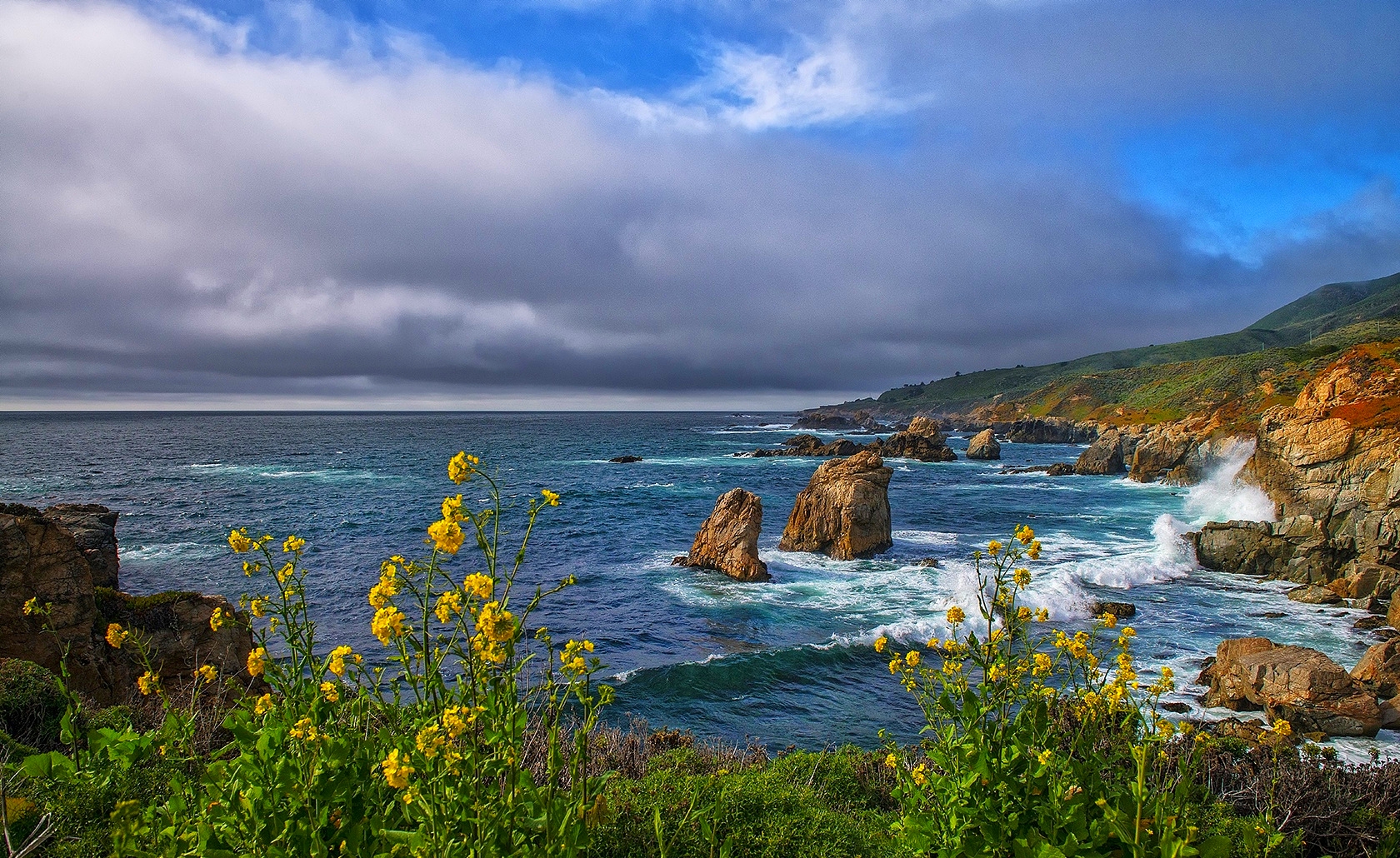 Descarga gratuita de fondo de pantalla para móvil de Mar, Horizonte, Flor, Costa, Océano, Tierra/naturaleza.