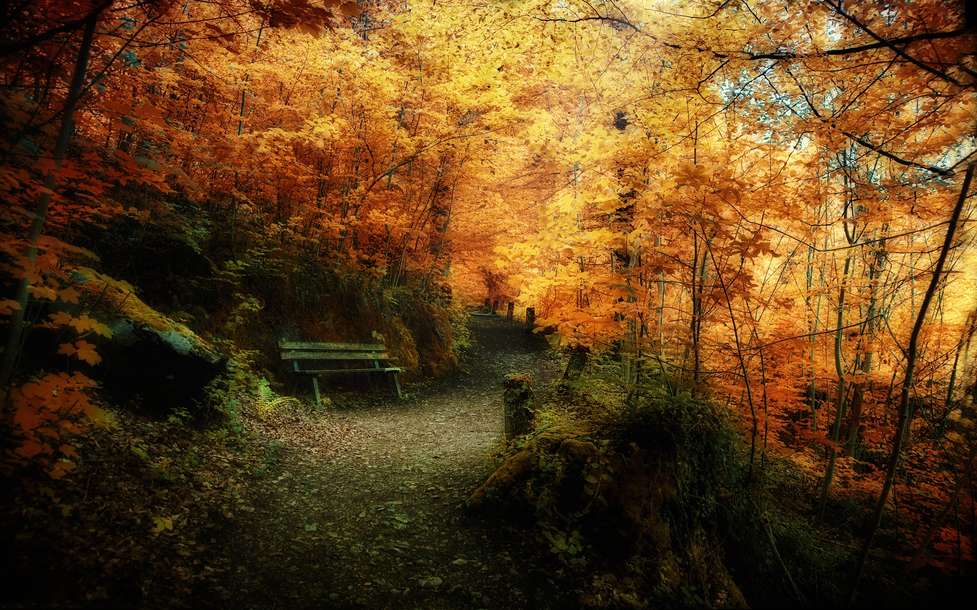path, fall, photography, bench