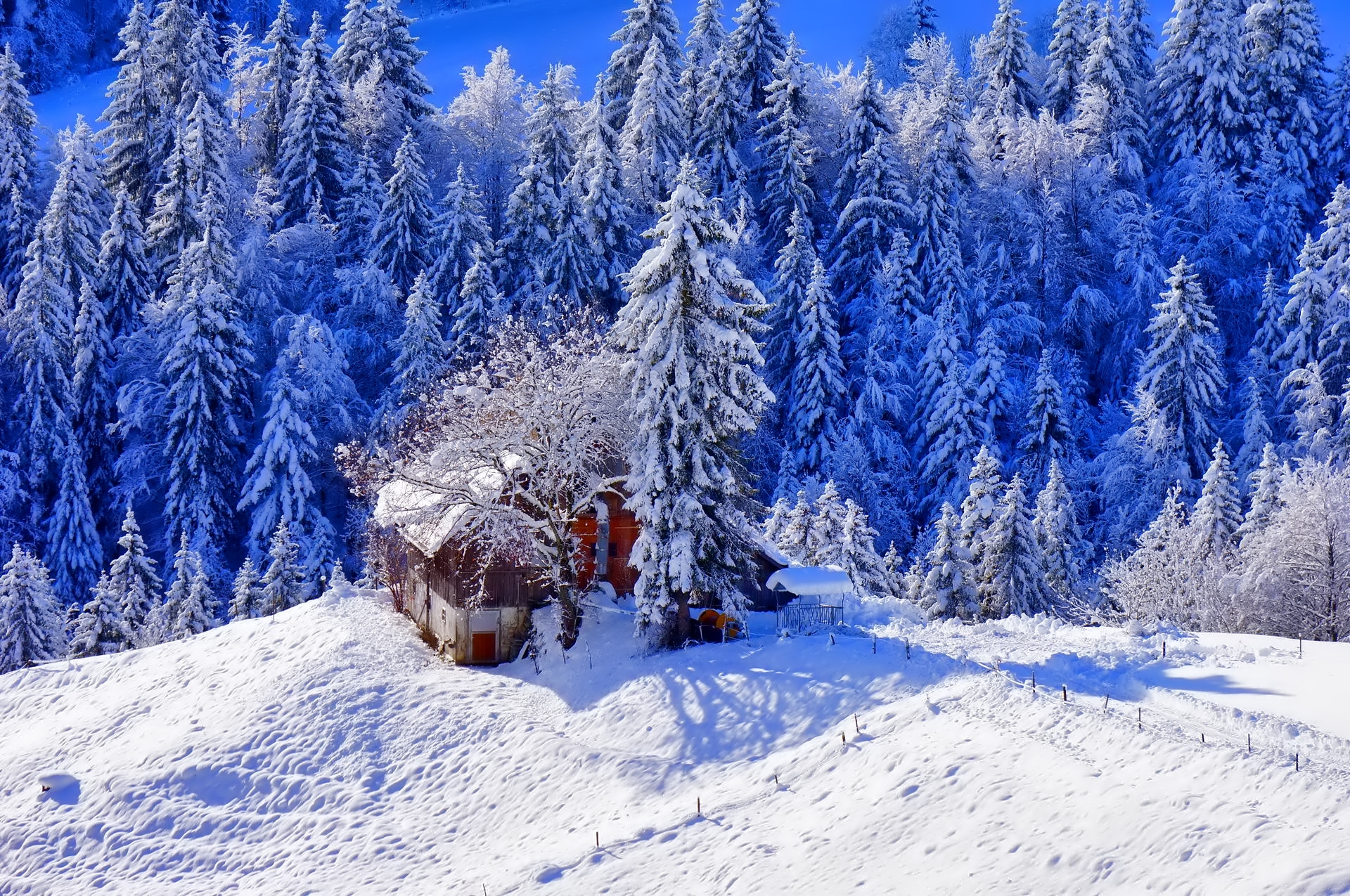 winter, nature, trees, snow, small house, lodge, elevation