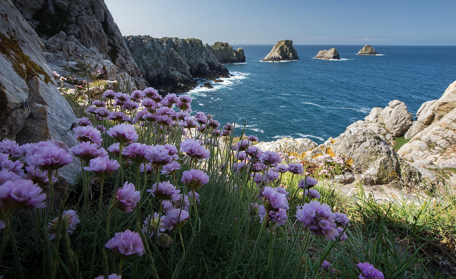 Free download wallpaper Horizon, Flower, Ocean, Earth, Coastline on your PC desktop