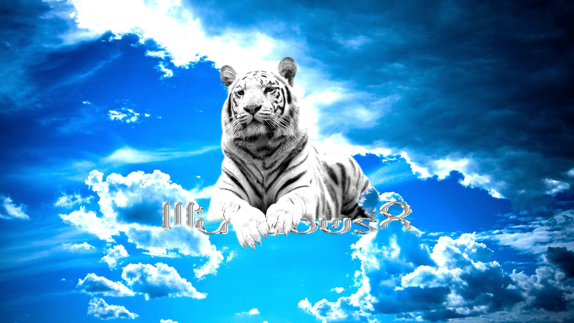 Laden Sie das Tiere, Katzen, Weißer Tiger-Bild kostenlos auf Ihren PC-Desktop herunter