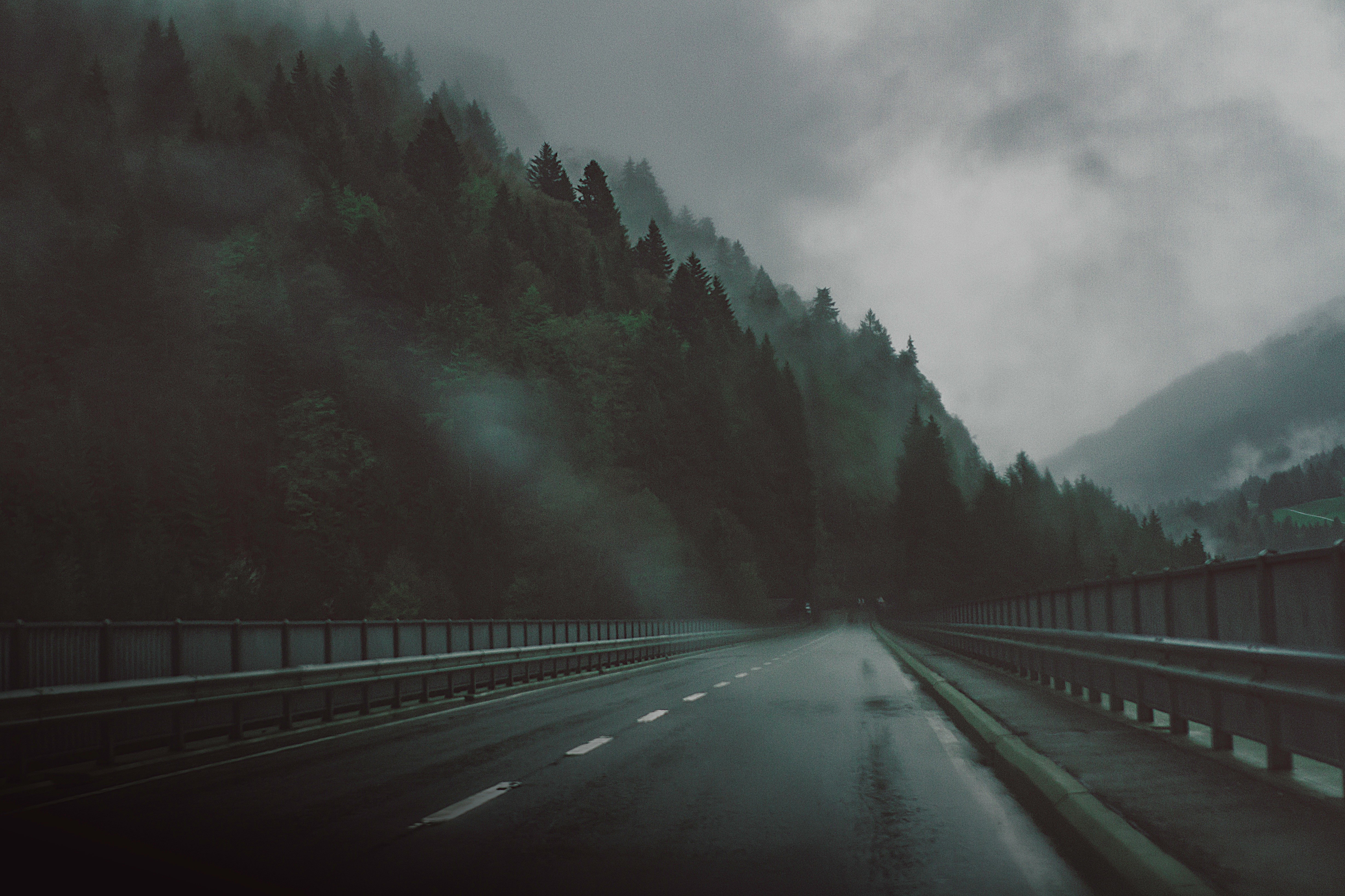 749454 скачать картинку туман, сделано человеком, дорога, шоссе, дерево - обои и заставки бесплатно