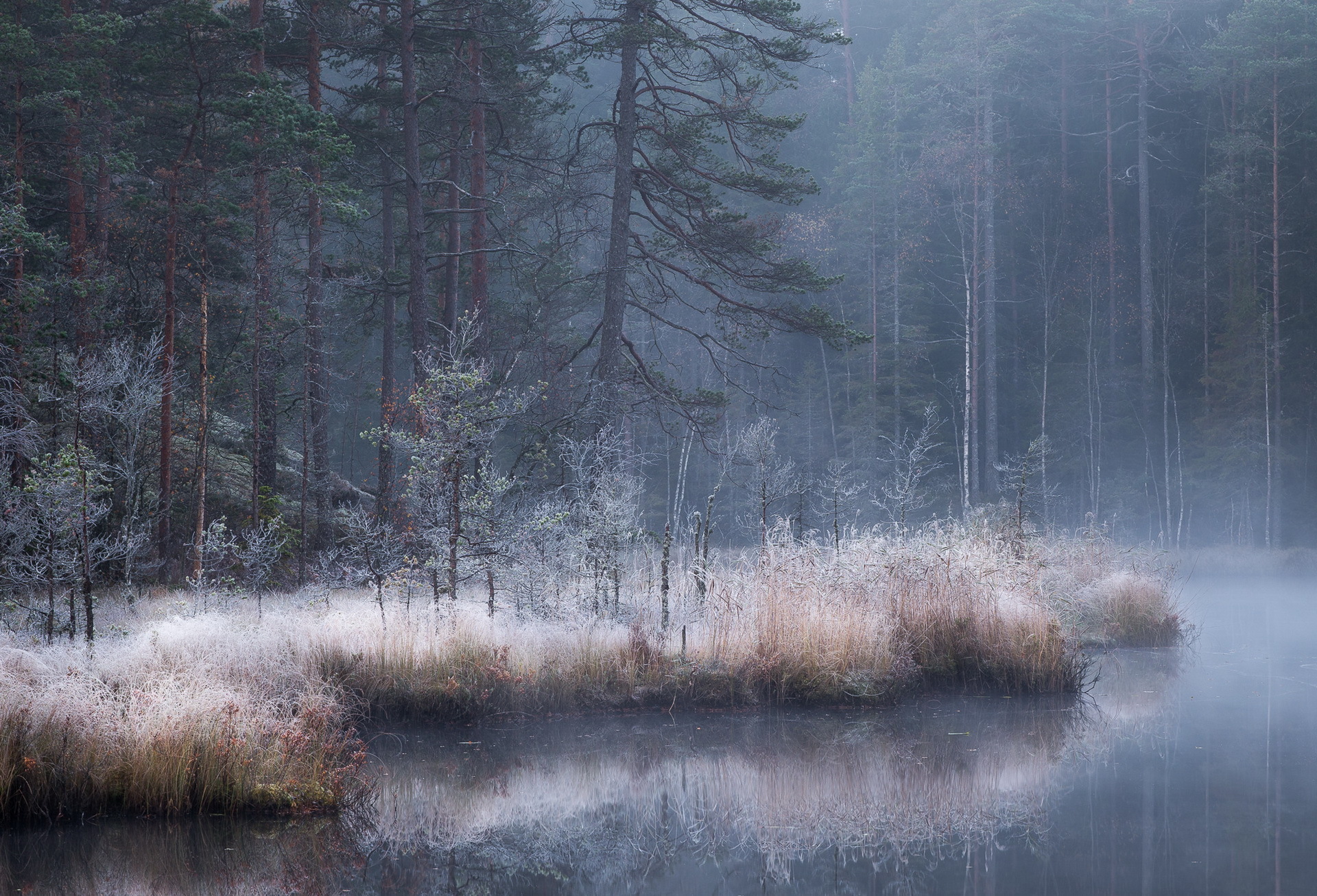 Download mobile wallpaper Nature, Reflection, Forest, Fog, Earth, River for free.