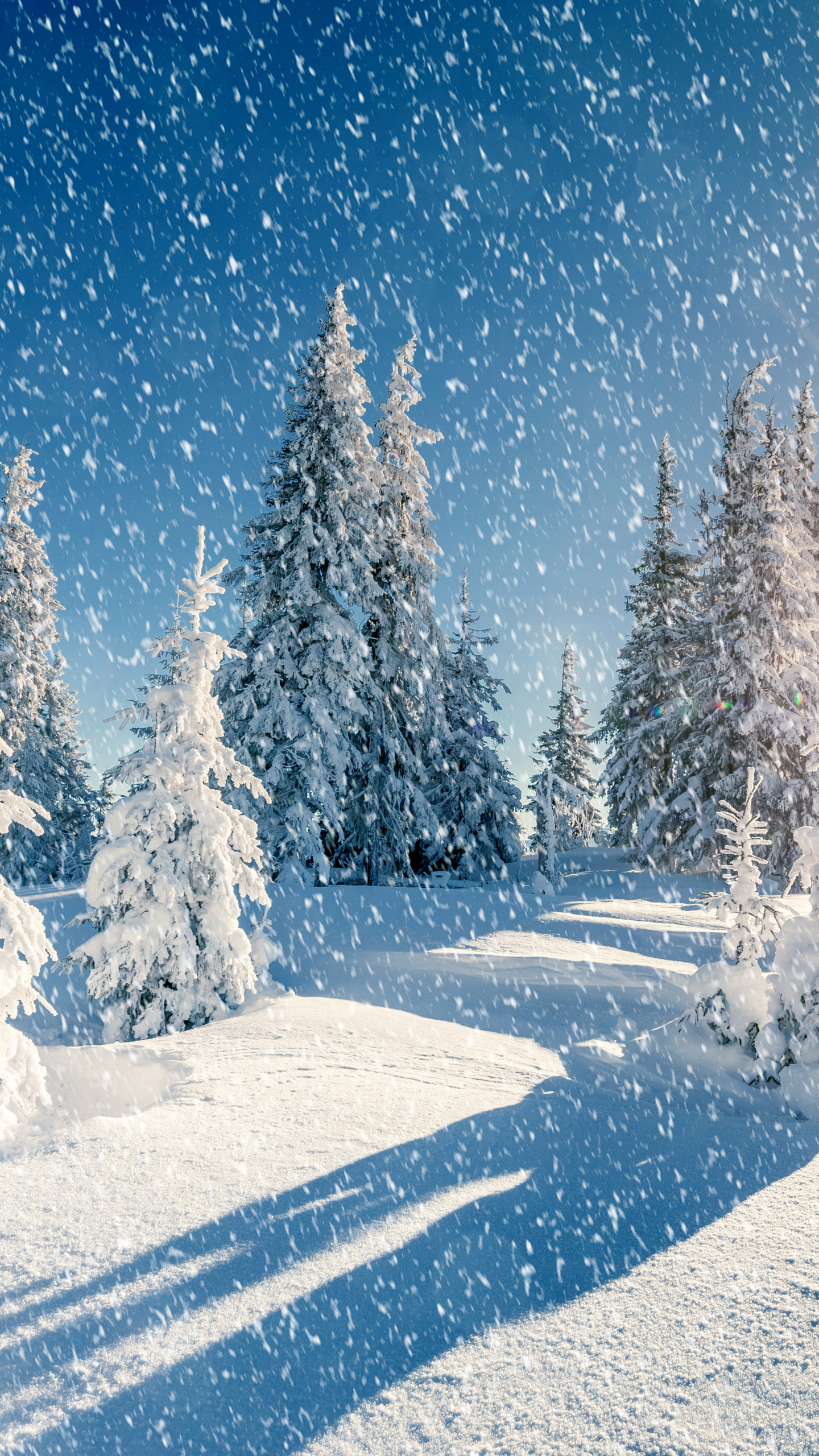Download mobile wallpaper Winter, Nature, Sun, Snow, Tree, Earth, Snowfall for free.