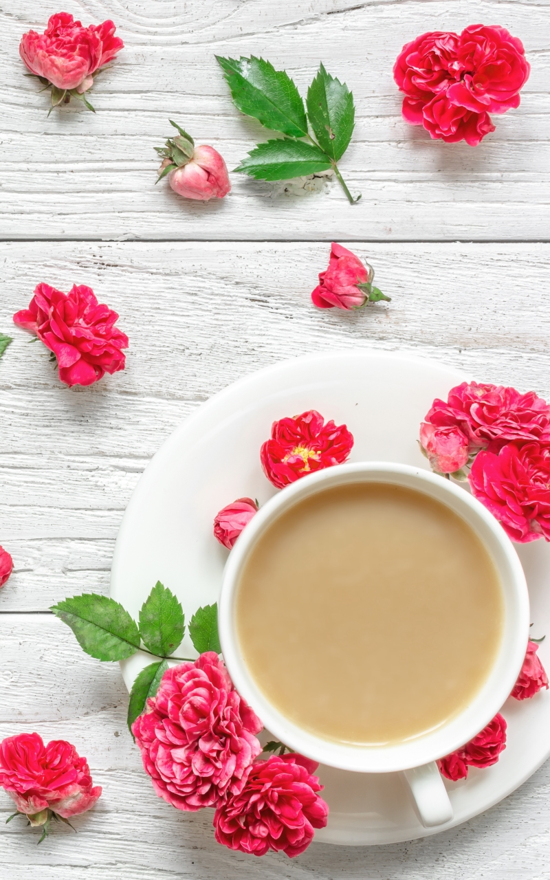 Download mobile wallpaper Food, Coffee, Still Life, Flower, Cup, Drink for free.