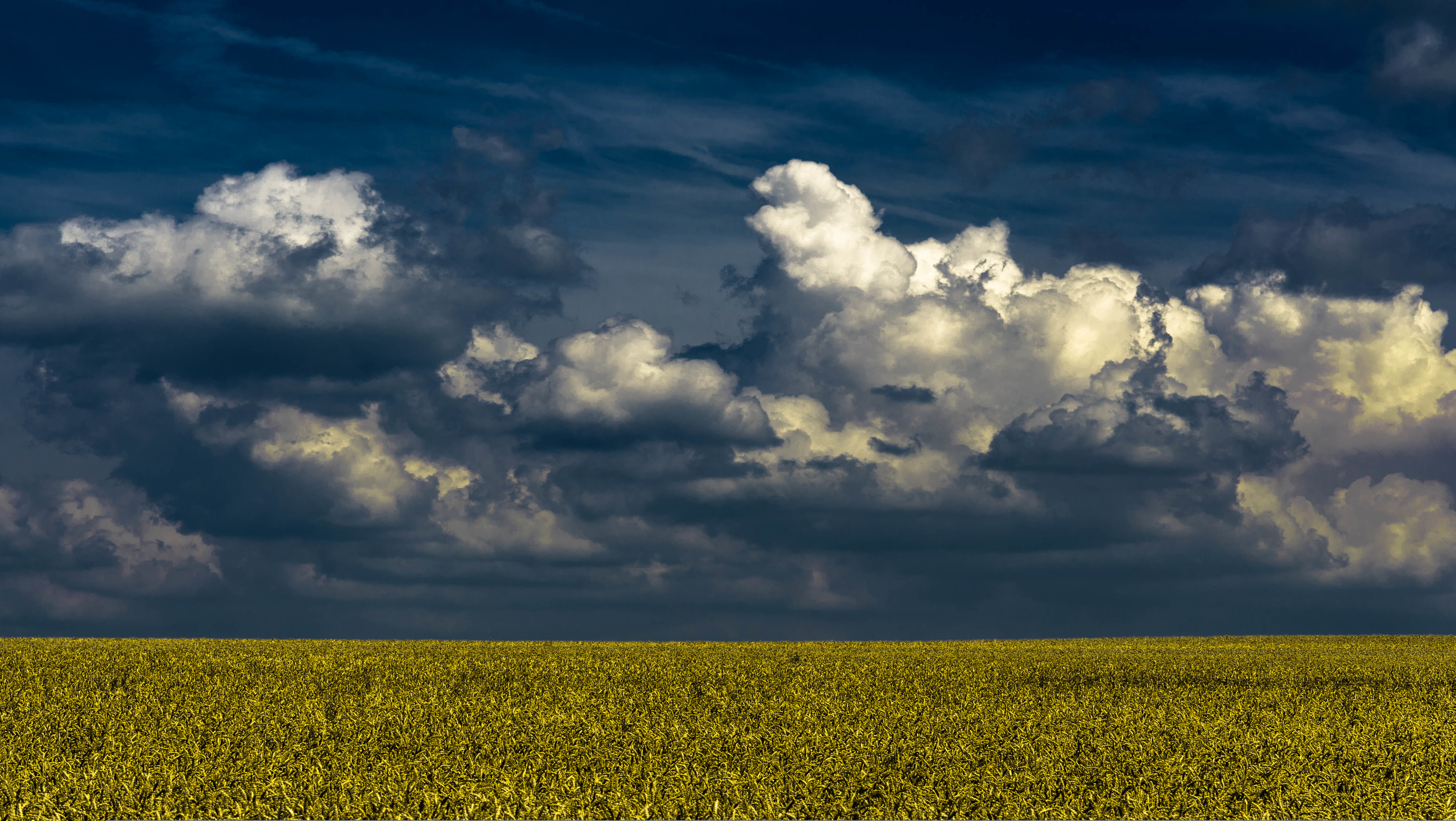 Download mobile wallpaper Nature, Sky, Wheat, Horizon, Earth, Field, Cloud for free.