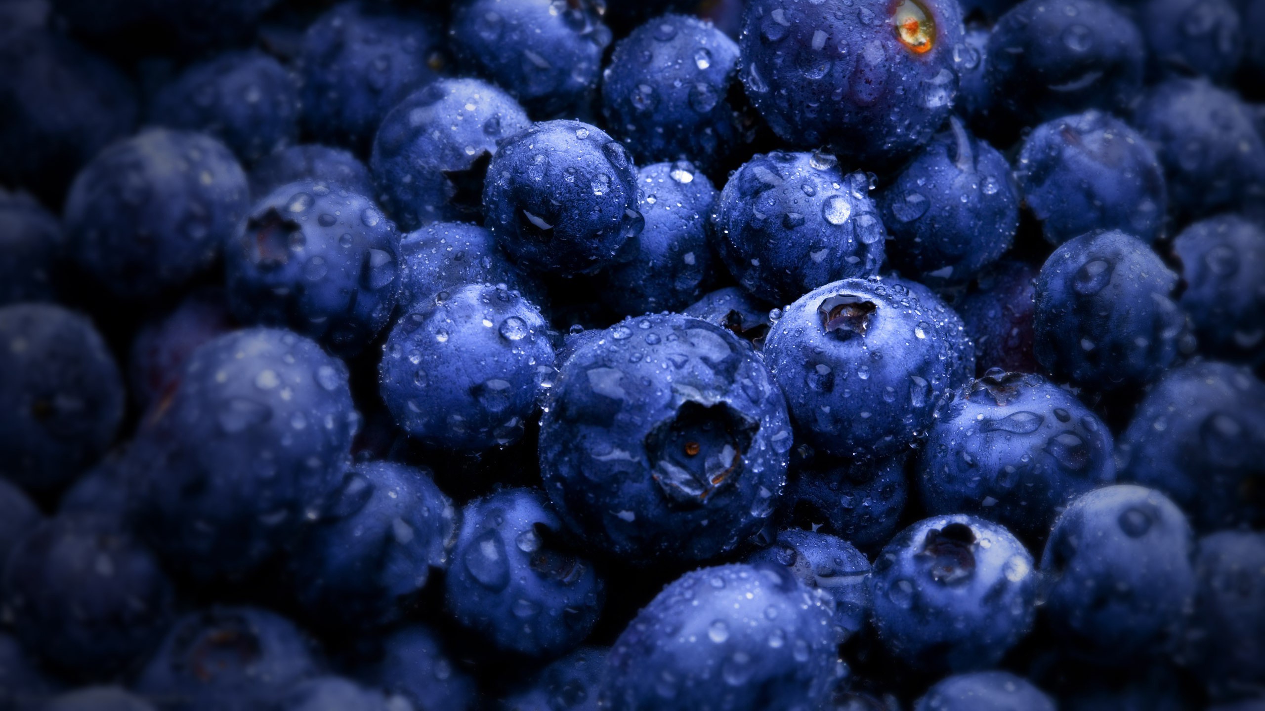 Download mobile wallpaper Food, Blueberry, Berry for free.