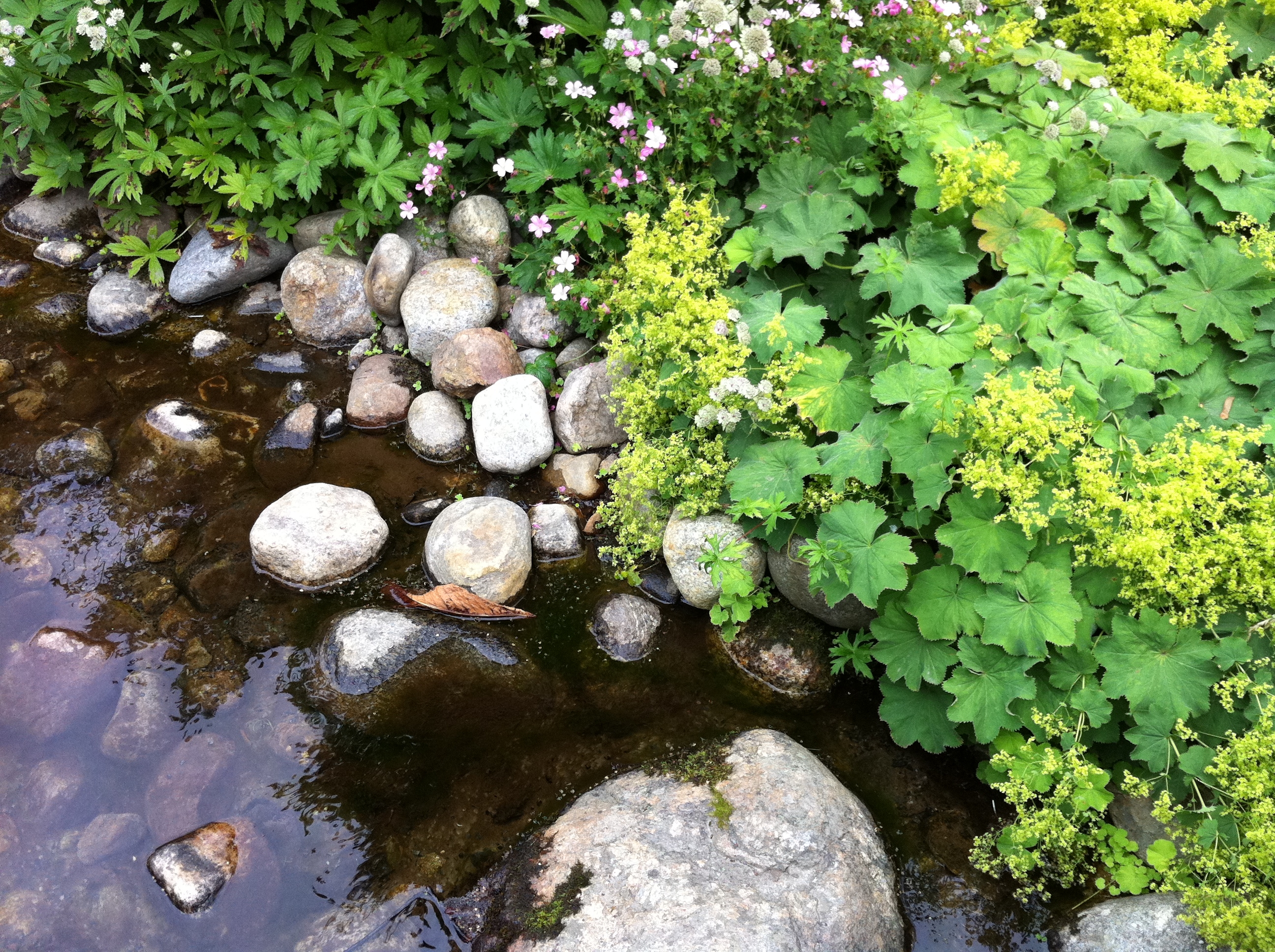 Laden Sie das Natur, Stones, Wasser, Pflanzen-Bild kostenlos auf Ihren PC-Desktop herunter