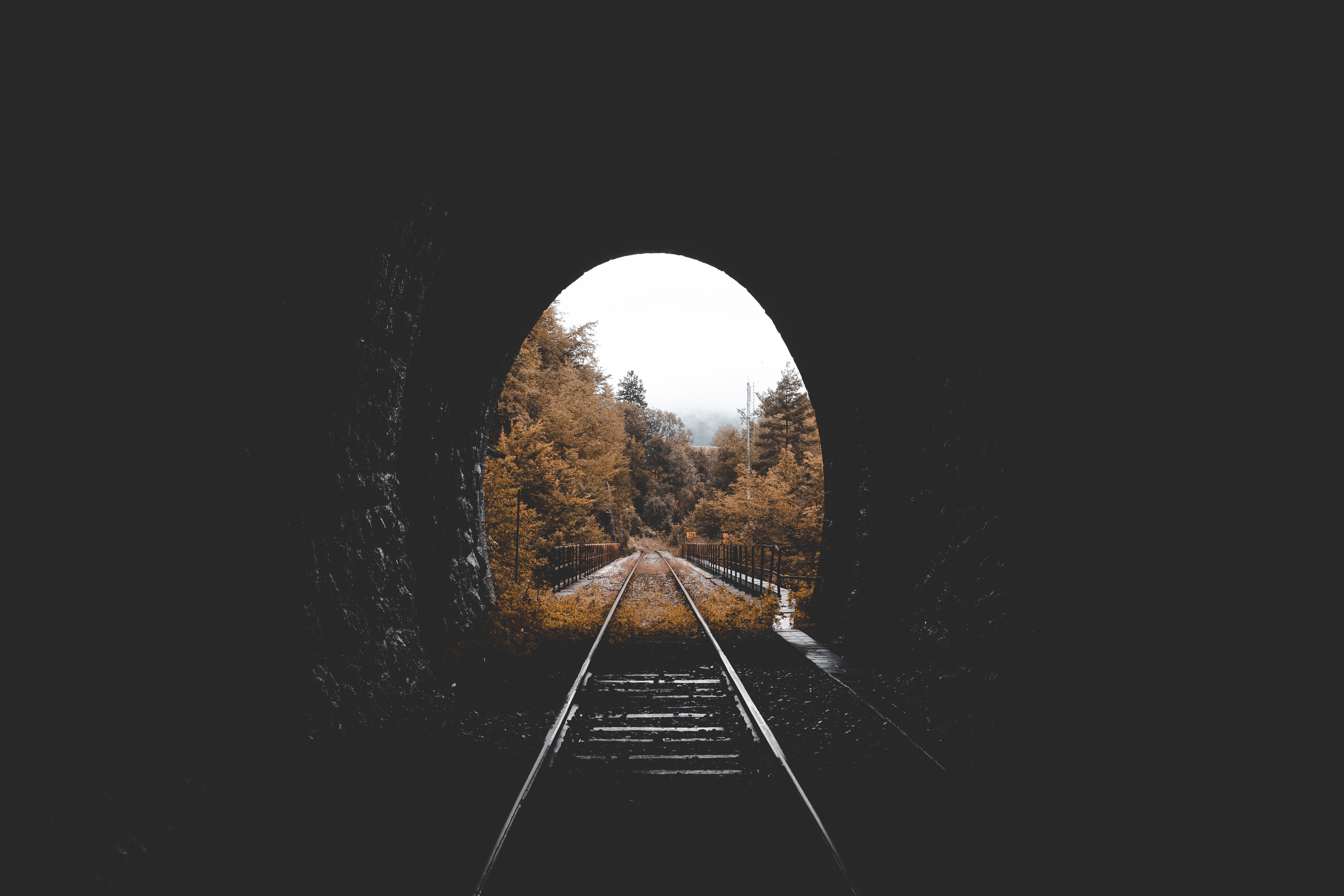 vertical wallpaper railway, nature, autumn, tunnel